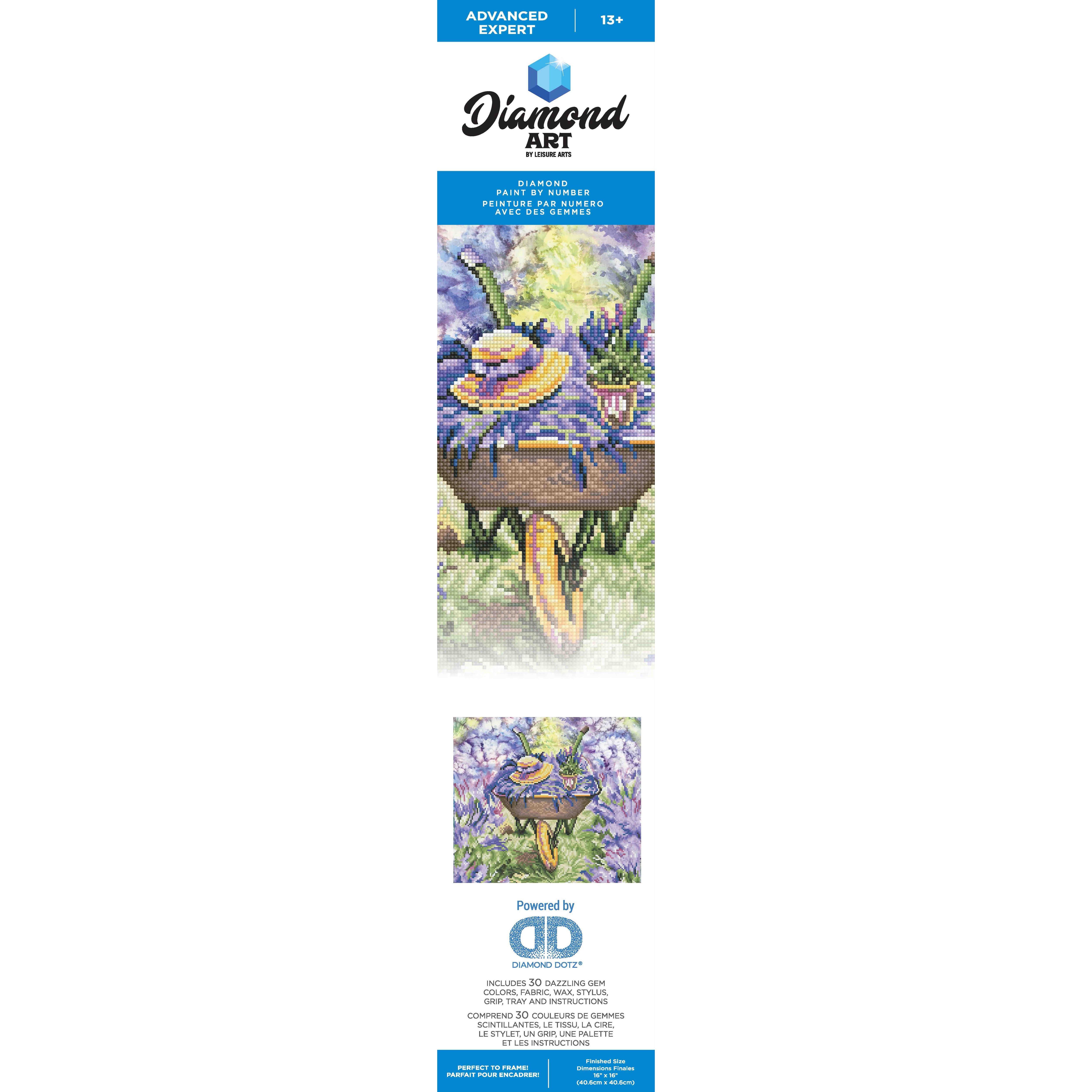 Diamond Art Advanced Lavender Fields Kit