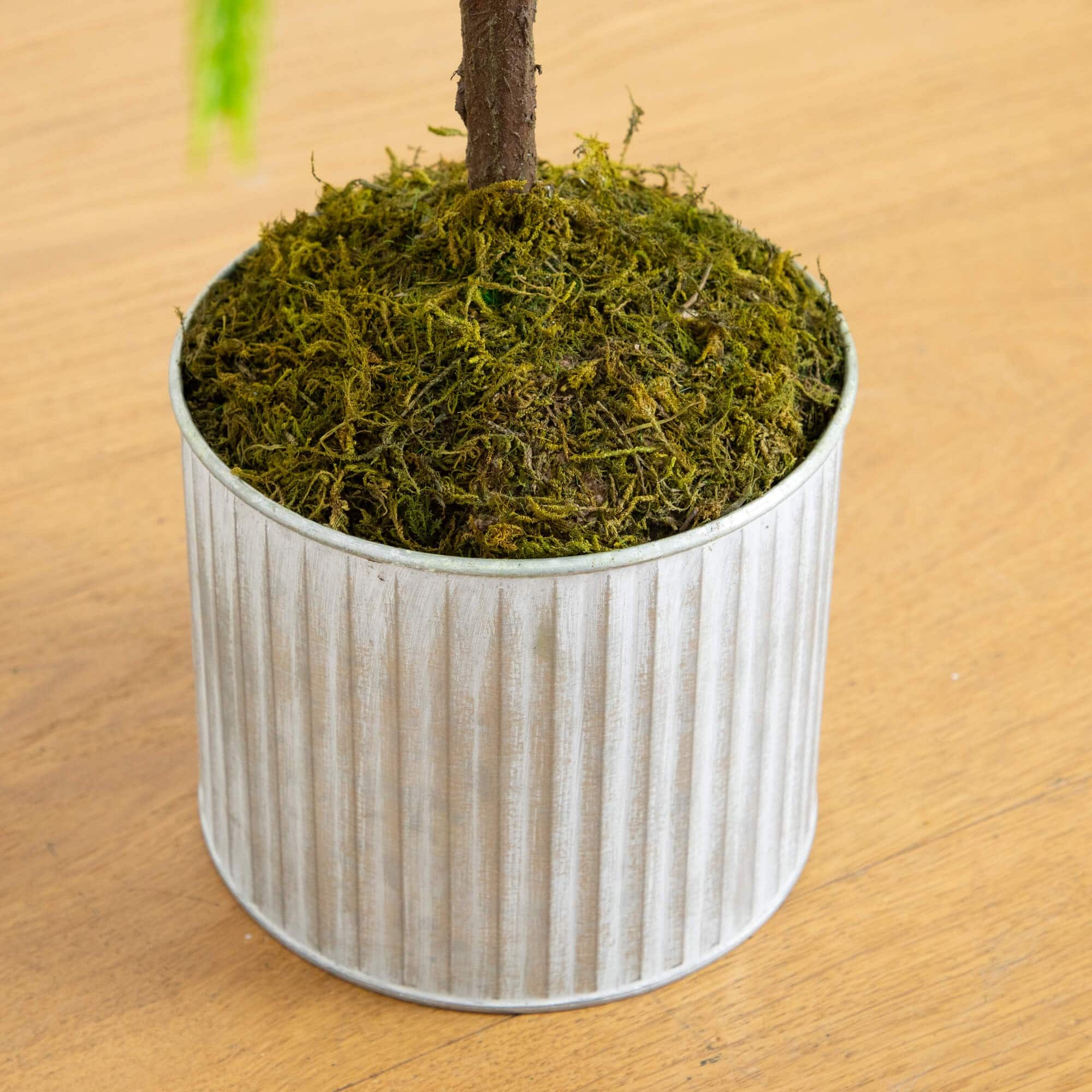 3ft. Unlit Real Touch Norfolk Island Pine Artificial Christmas Tree in Metal Planter