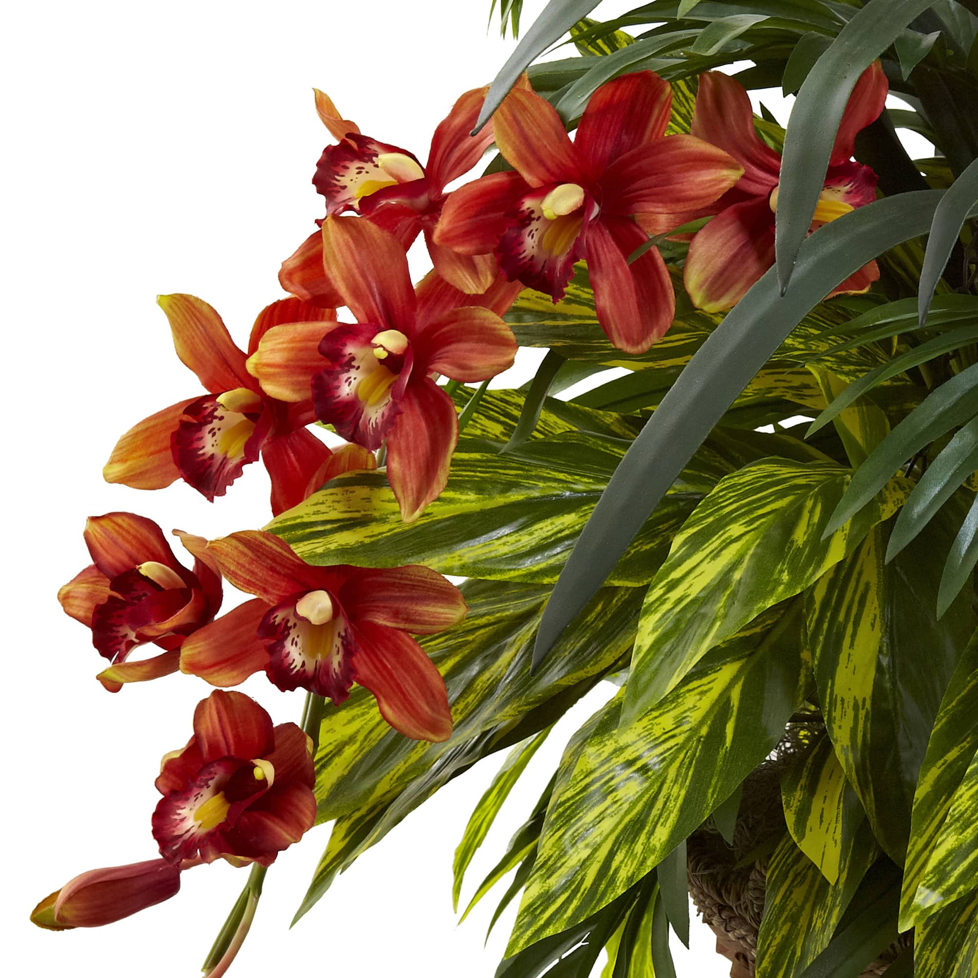 3ft. Mixed Tropical Greenery & Orchid Hanging Basket