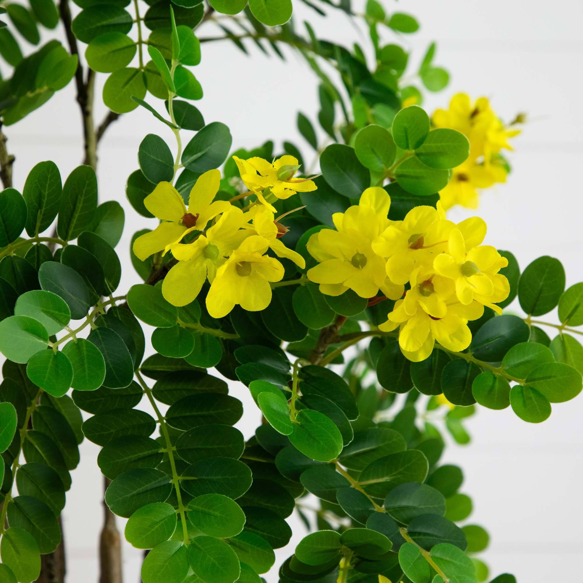 6ft. Potted Flowering Citrus Tree with Real Touch Leaves