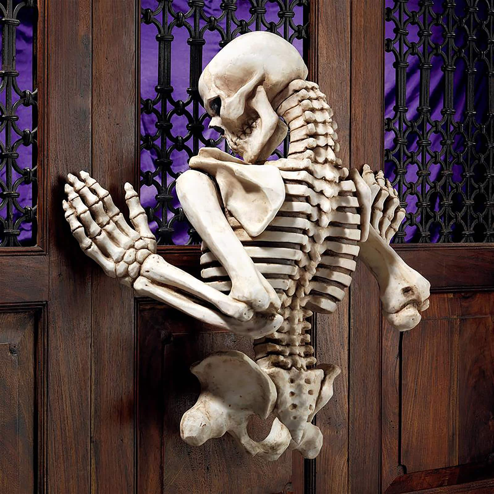 6X Halloween Best Costume Skeleton Trophies, Halloween Skull Party