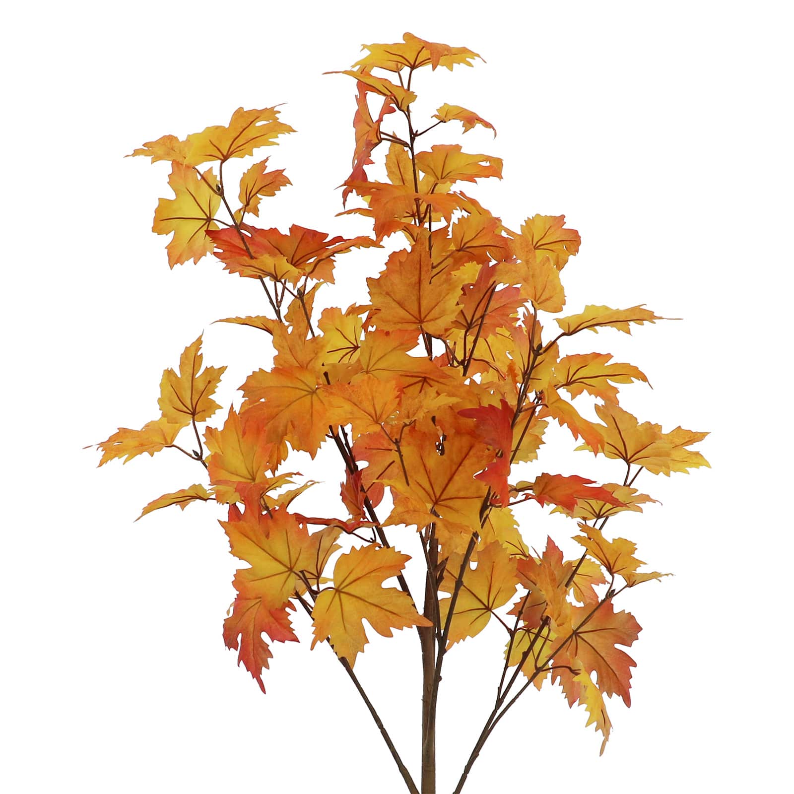 4ft. Orange Maple Tree by Ashland®