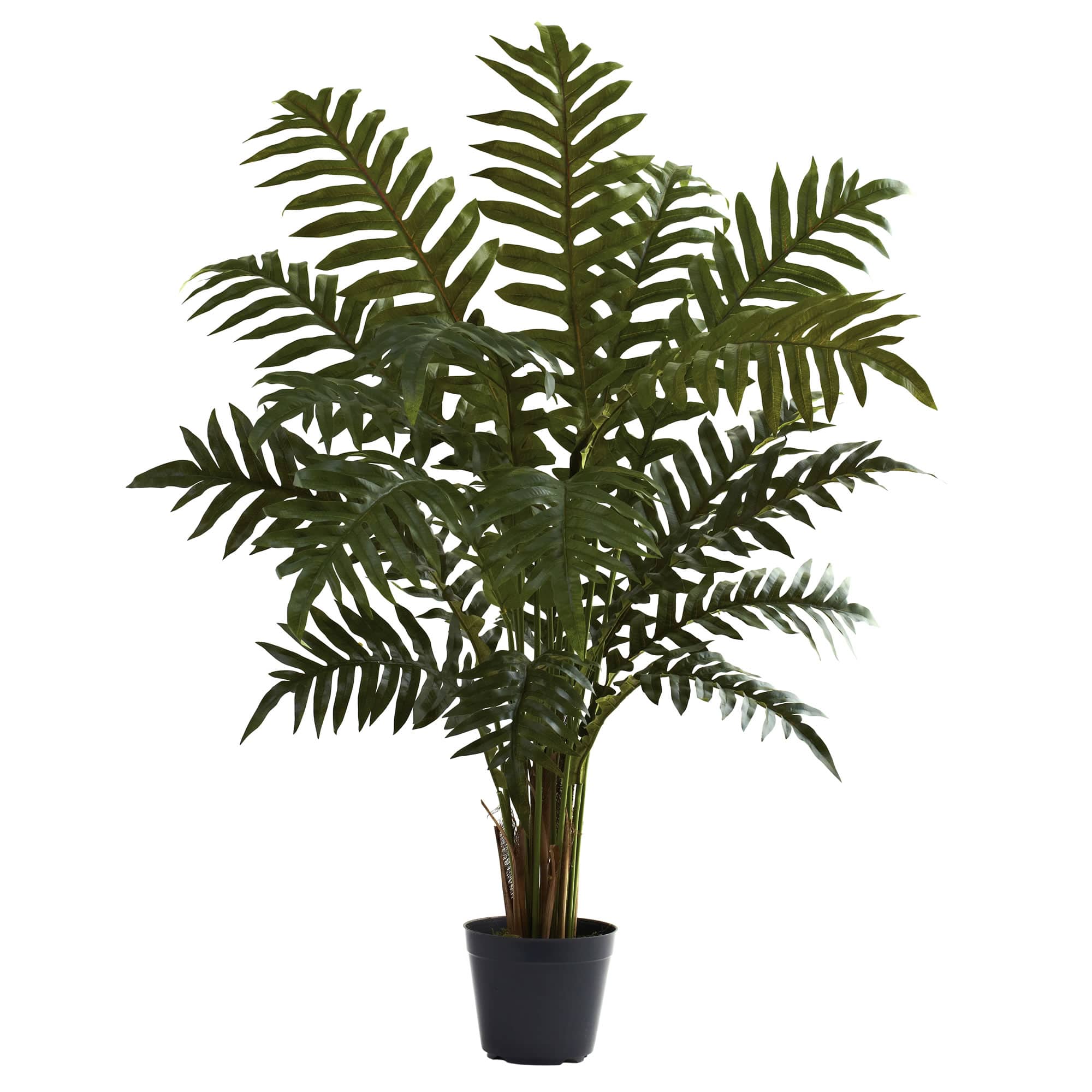 3.5ft. Potted Evergreen Tree