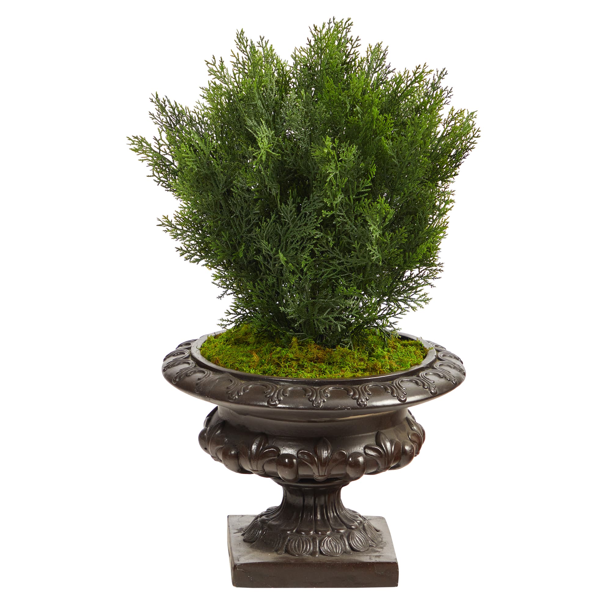 2.5ft. Cedar Tree in Iron Colored Urn