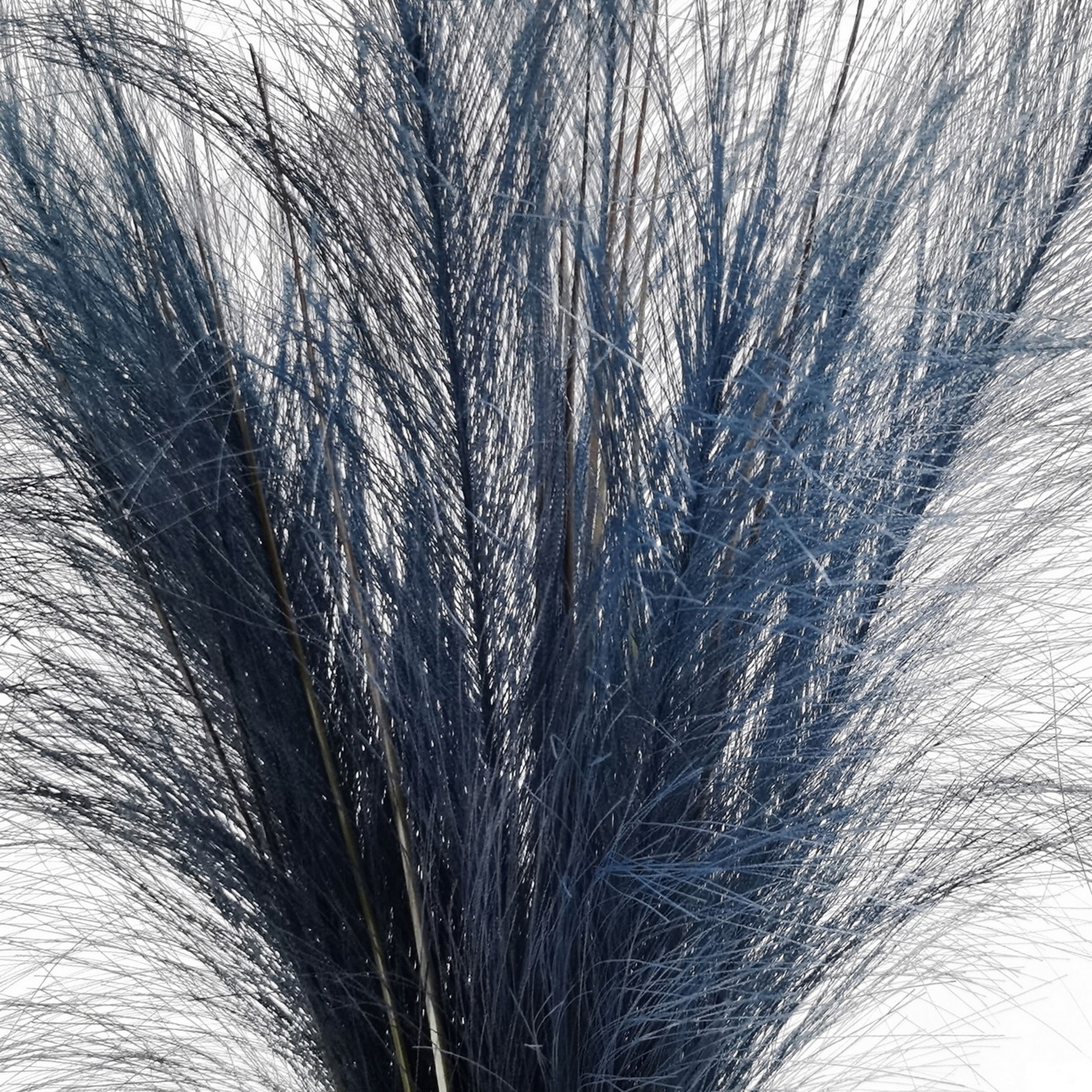 24" Pampas Grass Bush by Ashland