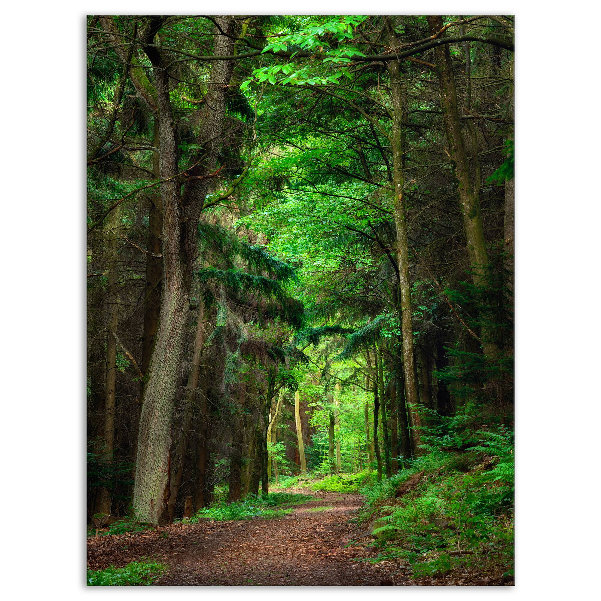 Designart - Dreamy Greenery in Dense Forest - Forest Canvas Art Print