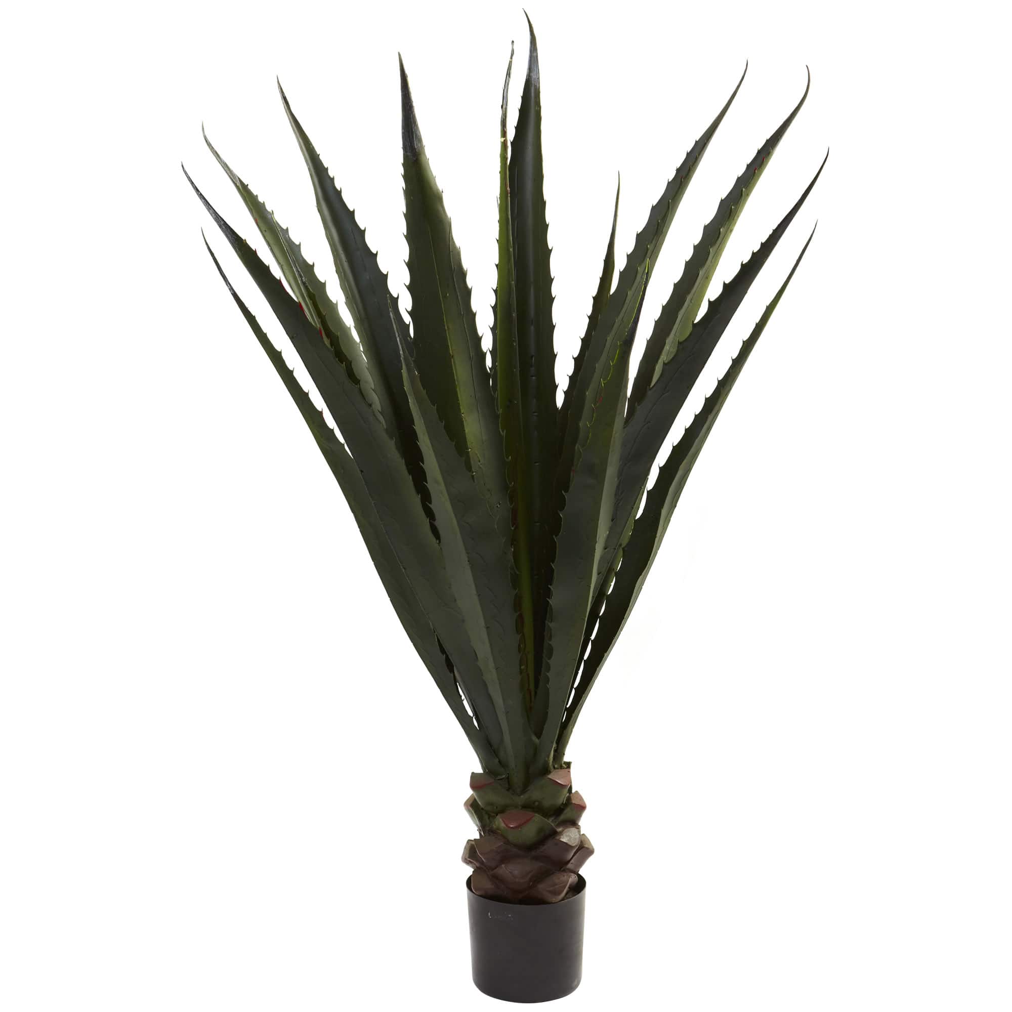 4.5ft. Potted Giant Agave Plant