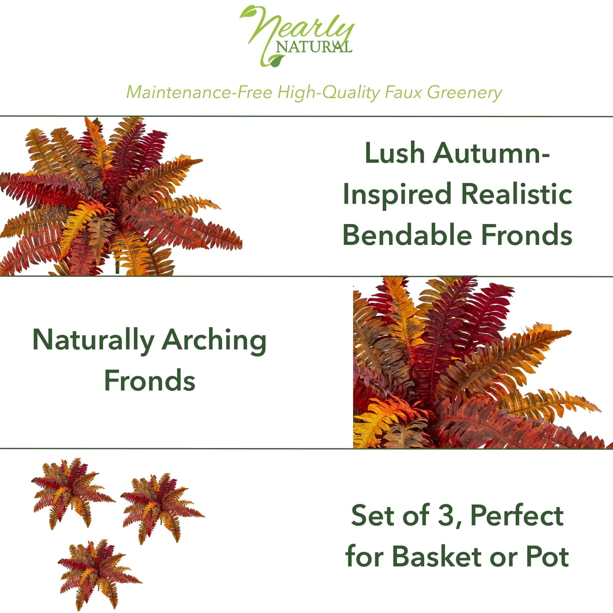 20&#x22; Autumn Boston Fern Bush, 3ct.