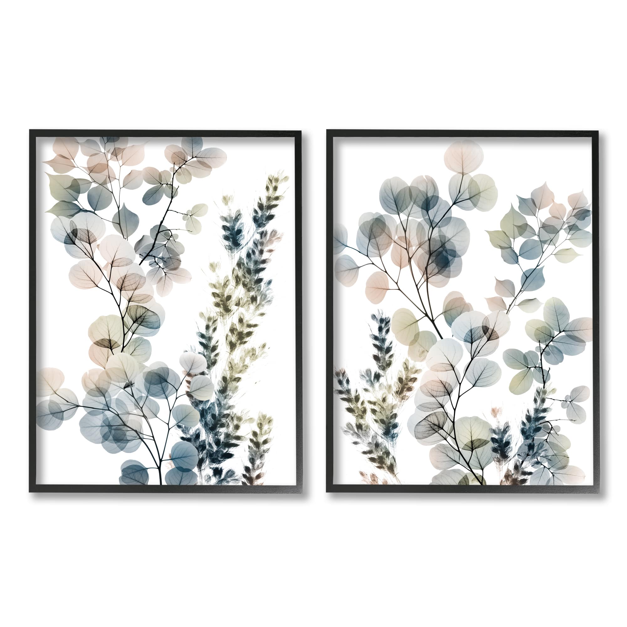 Stupell Industries Collage of Translucent Plants Blue Green Beige in Black Frame Wall Art