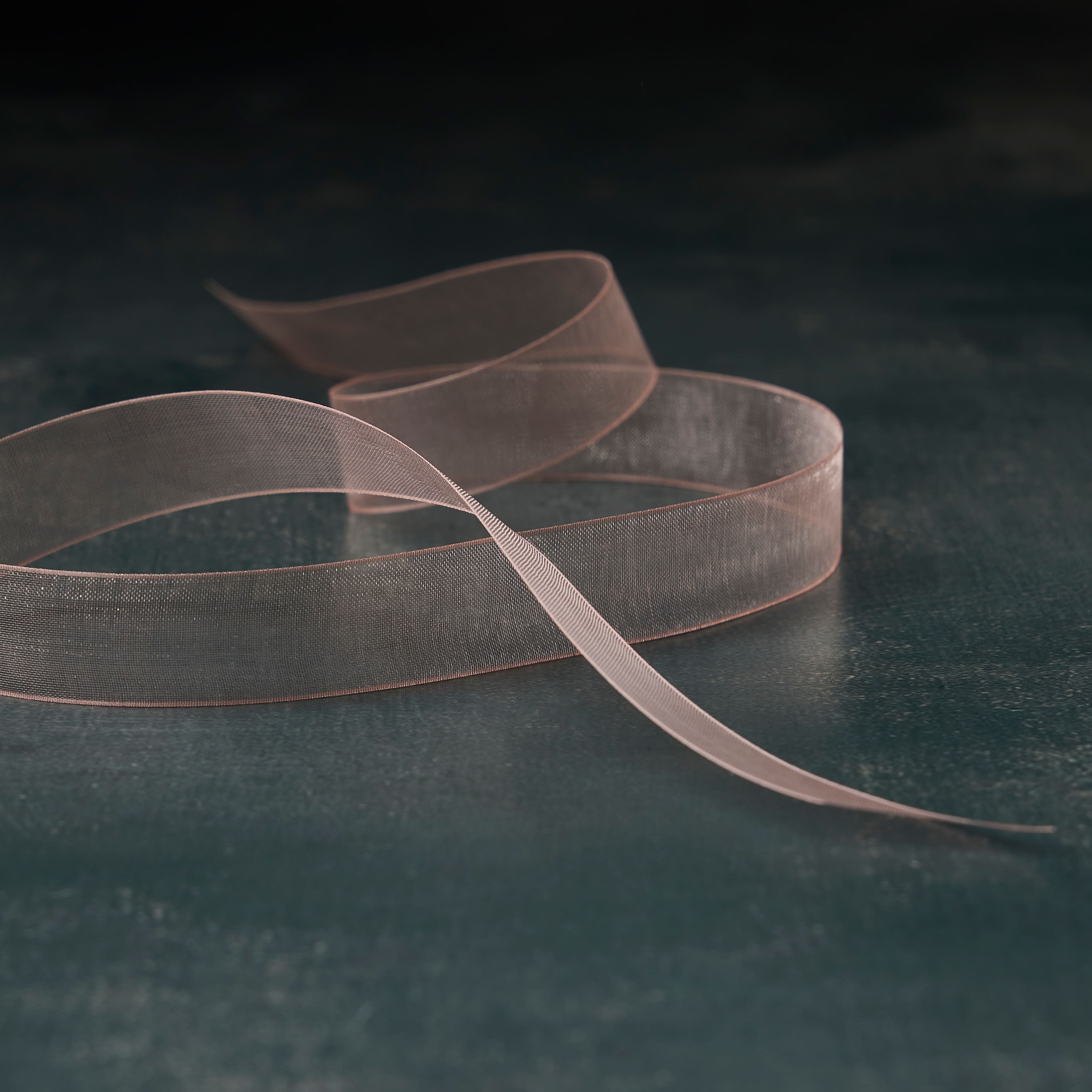 5/8&#x22; x 7yd. Sheer Organza Ribbon by Celebrate It&#xAE; Classic