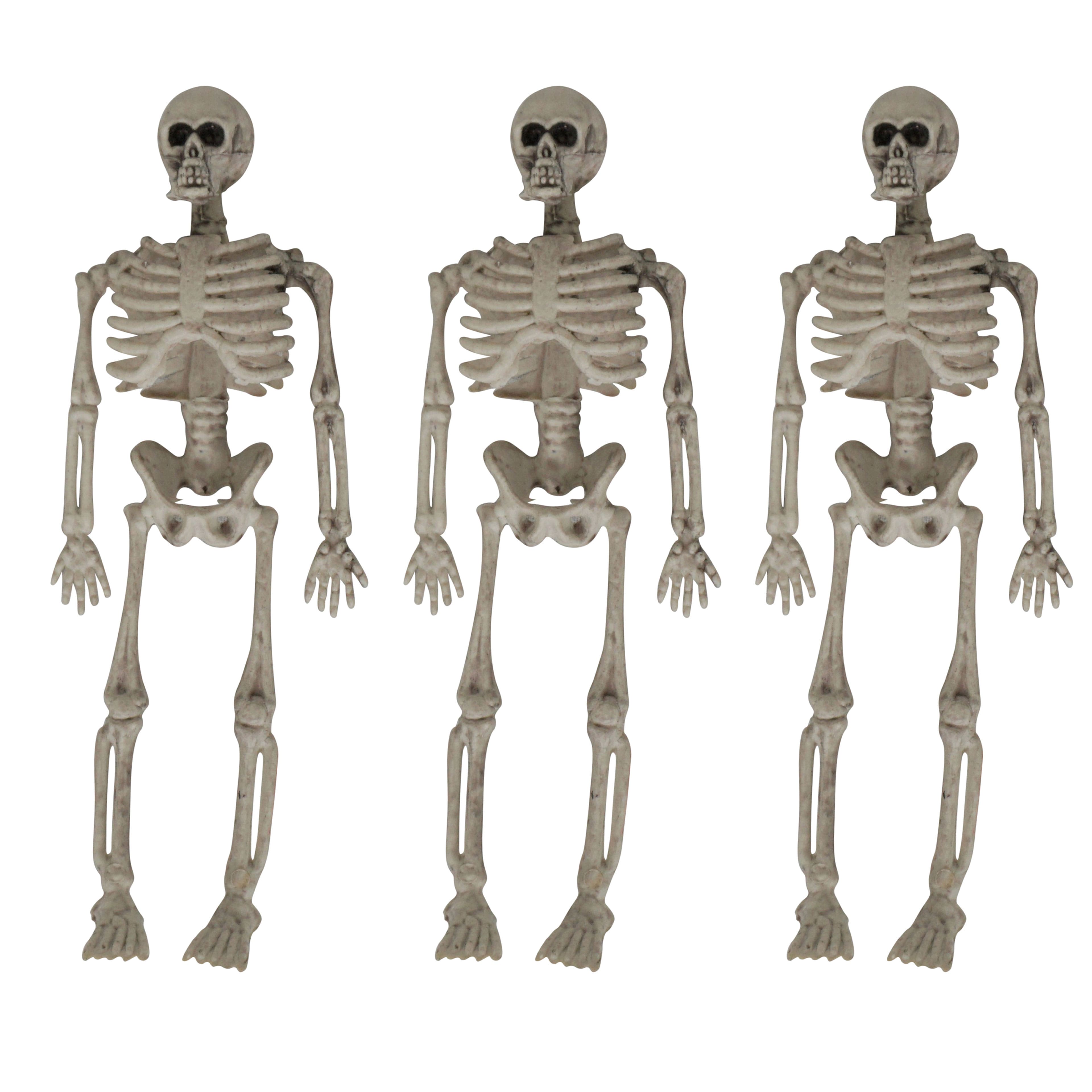 8&#x22; Skeletons, 3ct. by Ashland&#xAE;
