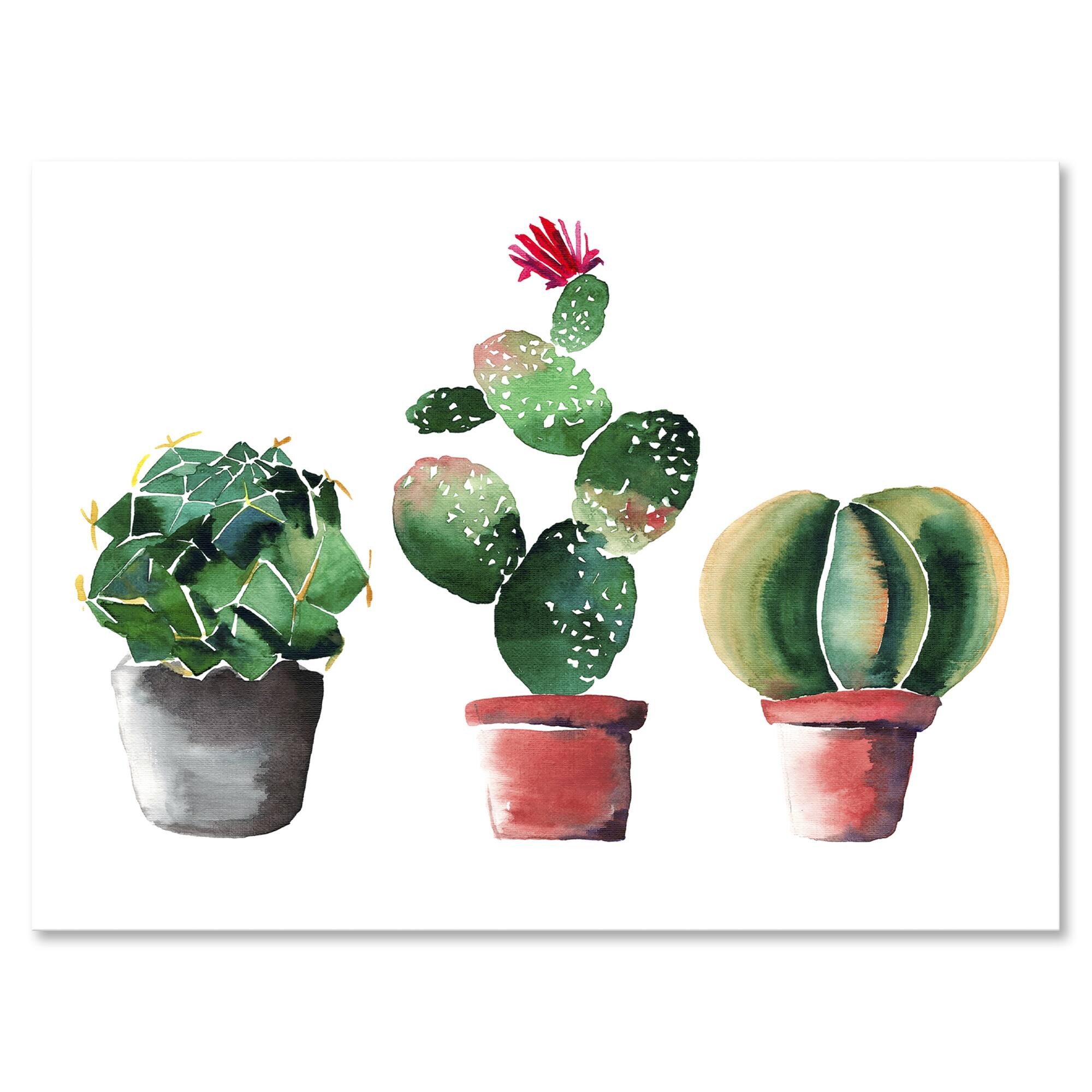 Designart - Three Cactus In Clay Pots