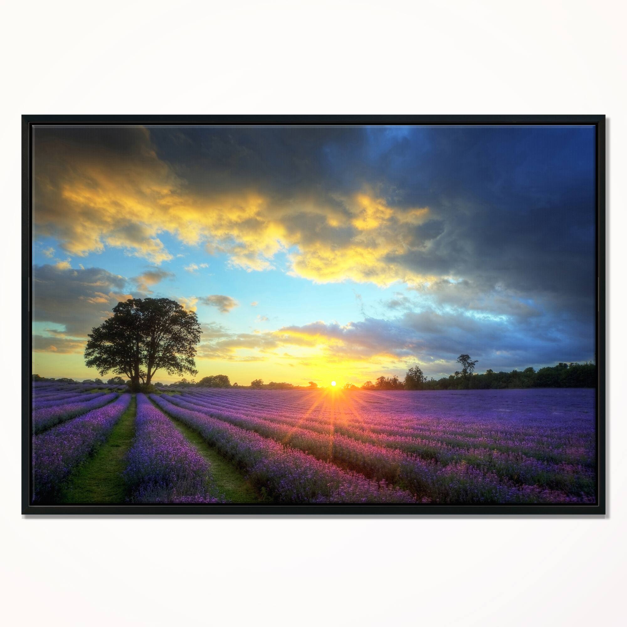 Designart - Stunning Sunset over Lavender Fields - Large Flower Canvas Wall Art in Black Frame