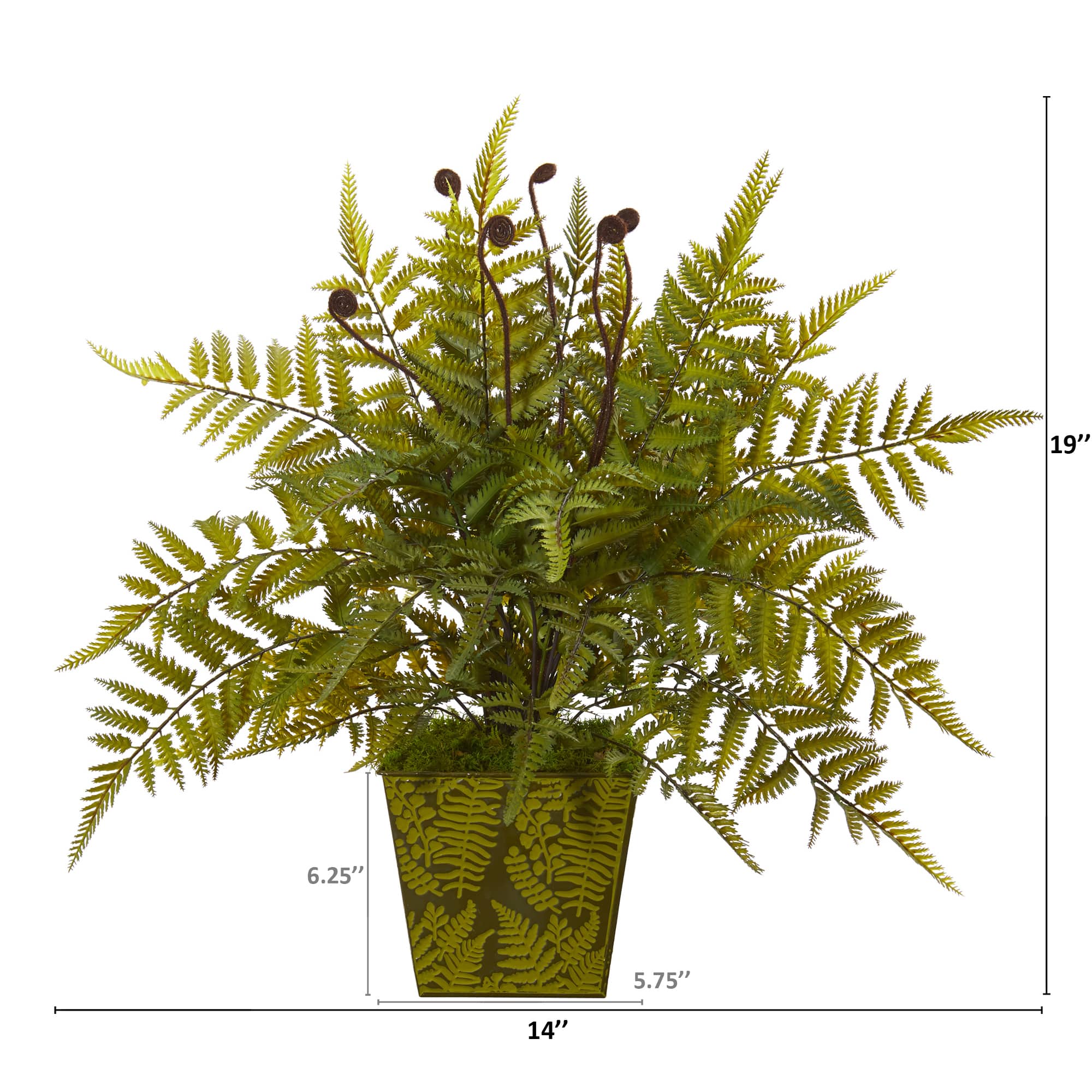 19" Fern in Green Planter