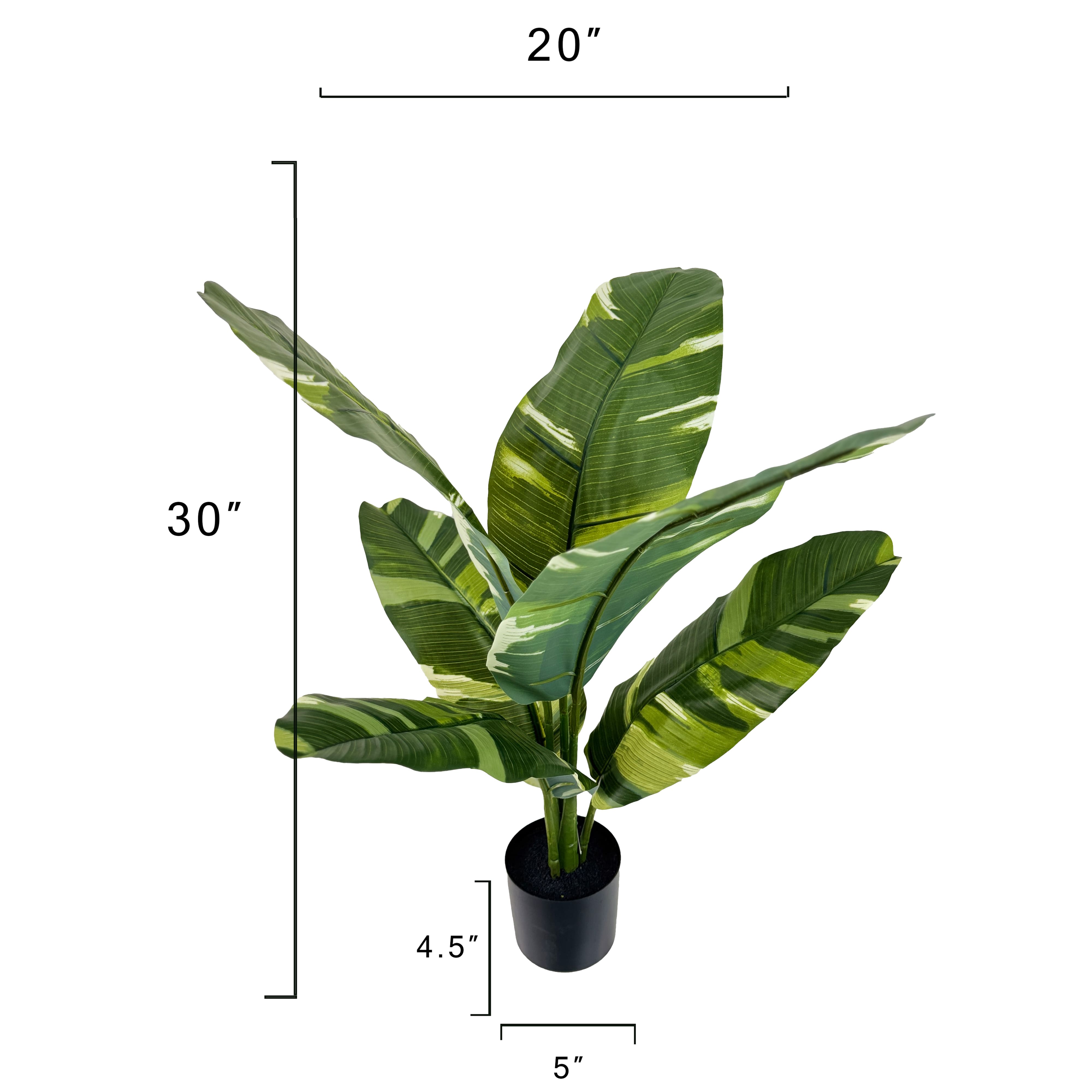 2.5ft. Potted Banana Leaf Plant by Ashland&#xAE;