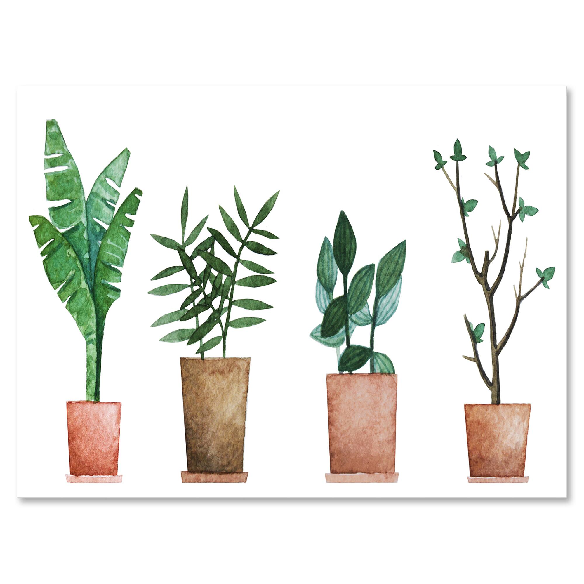 Designart - Duo of Potted Flowers House Plants - Farmhouse Canvas Wall Art Print