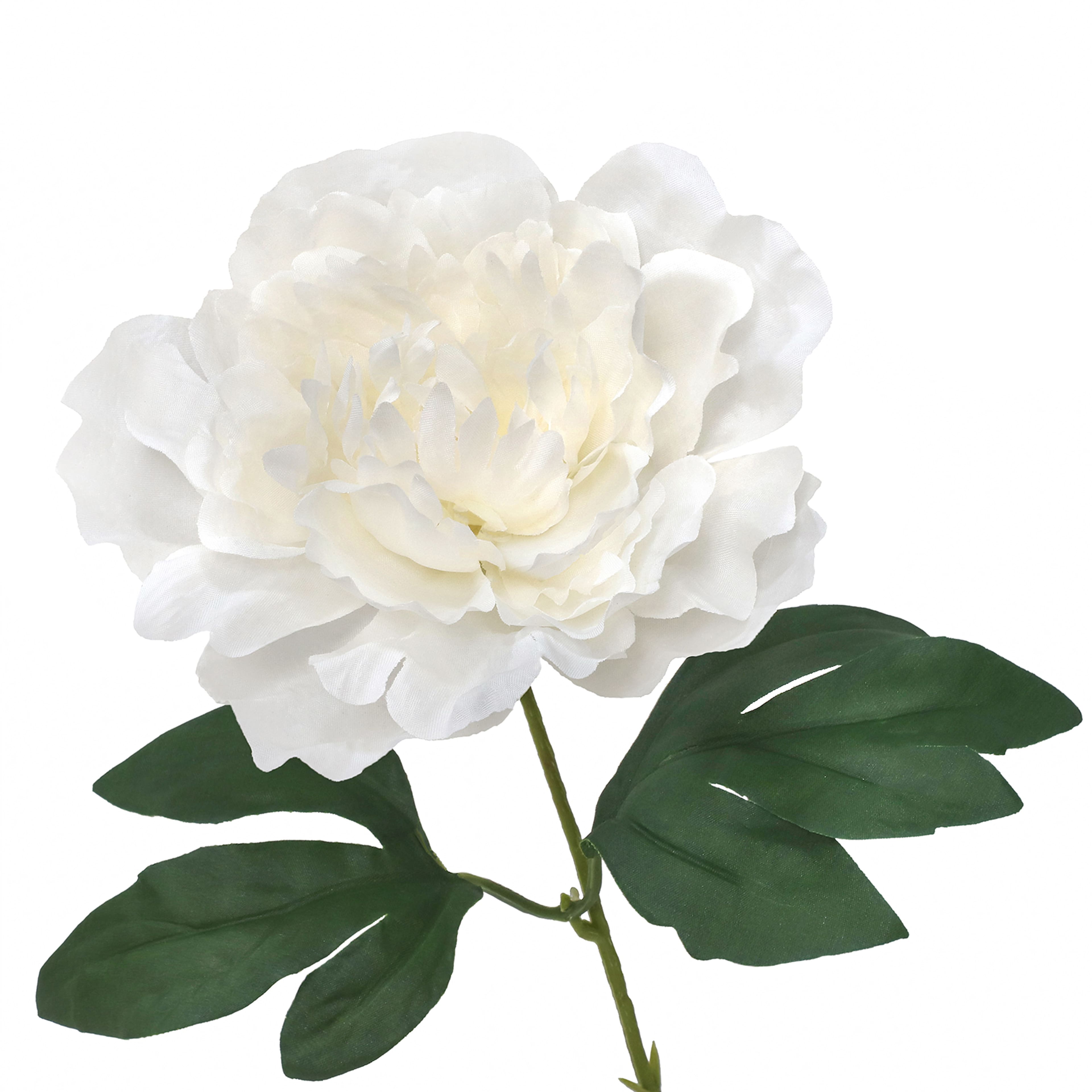 19.5&#x22; Peony Bush by Ashland&#xAE;