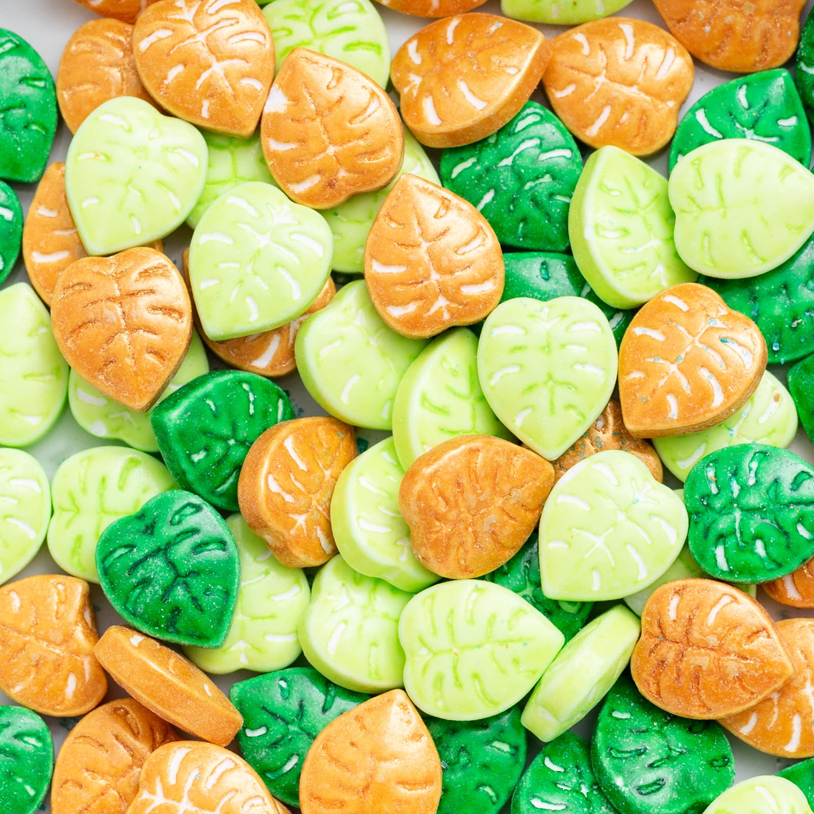Sweet Tooth Fairy&#xAE; Tropical Leaf Candy Shapes