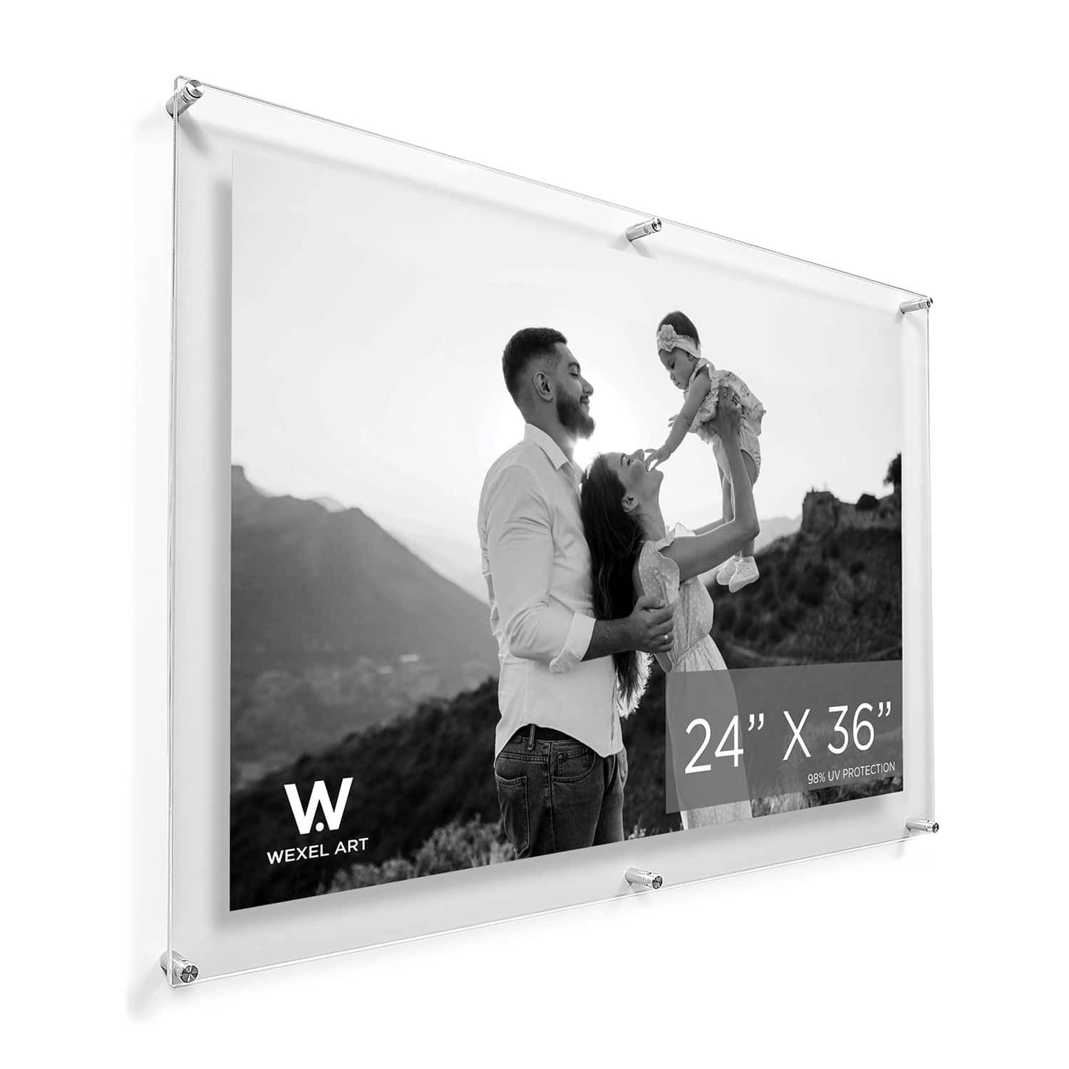 Wexel Art Double Panel Clear Acrylic Floating Wall Frame with Silver Hardware