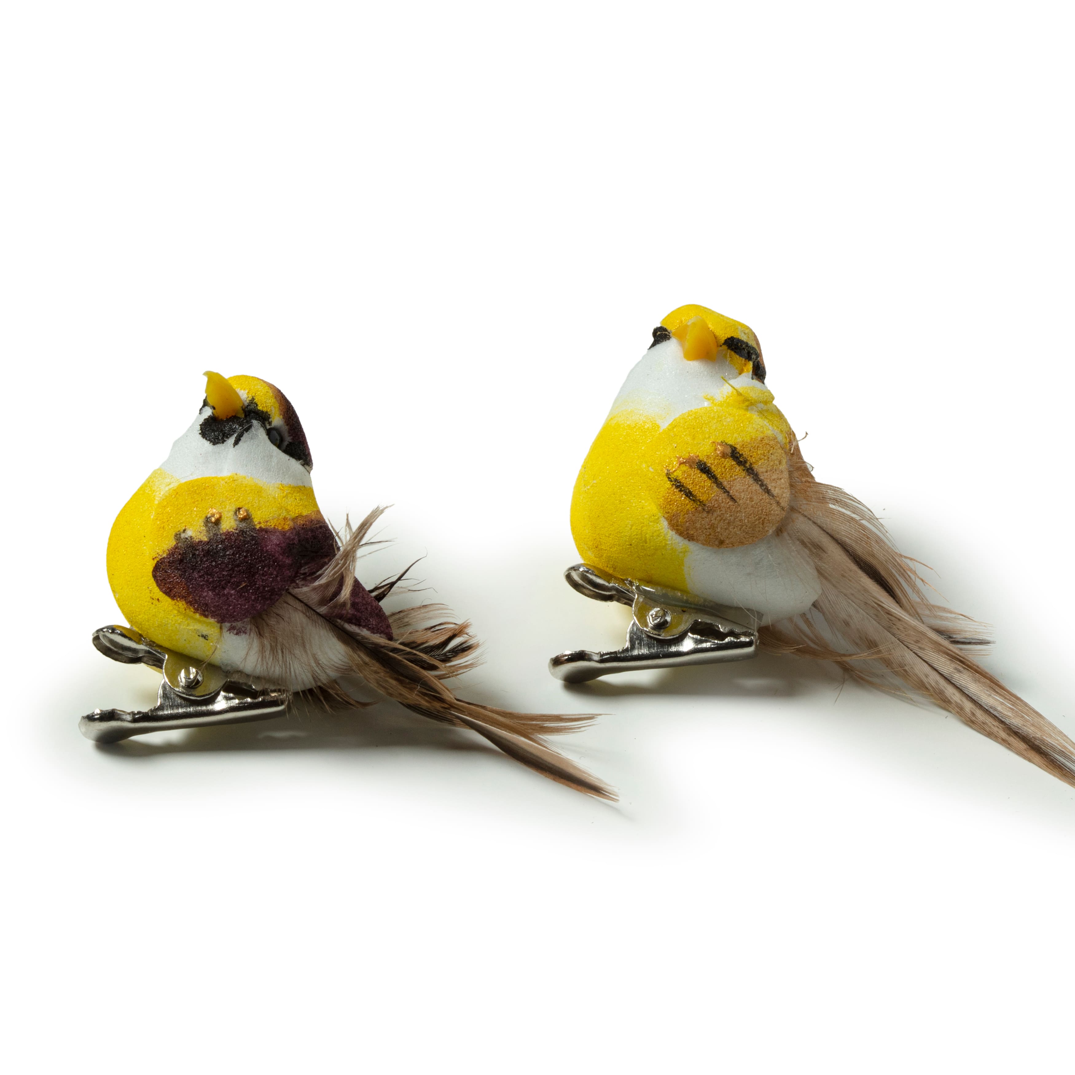 Mushroom Birds by Ashland™