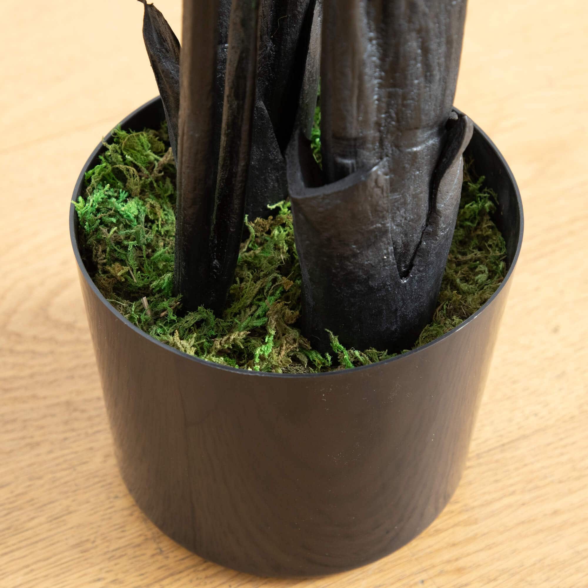 4ft. Artificial Halloween Black Travelers Palm Tree