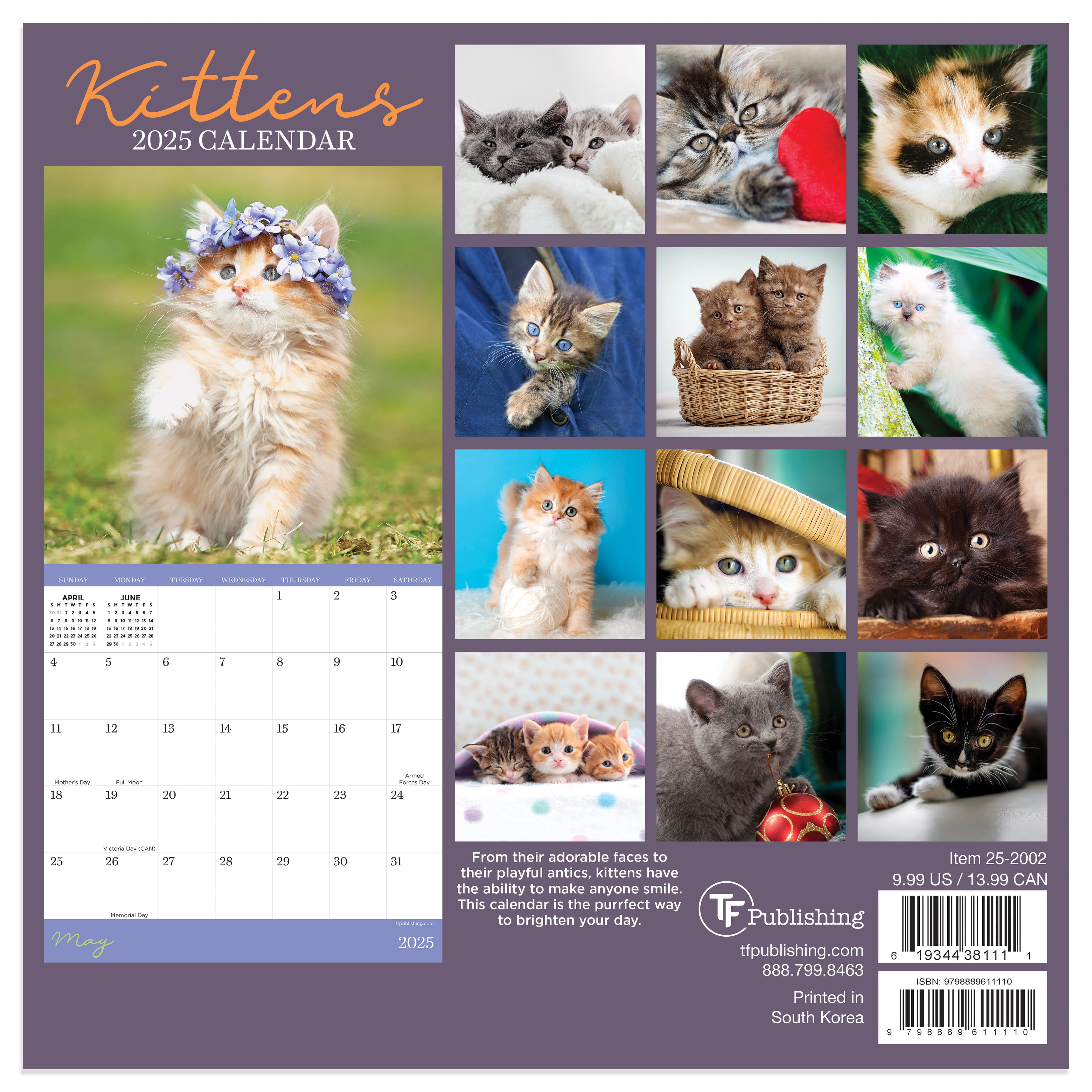 TF Publishing 2025 Kittens Mini Calendar