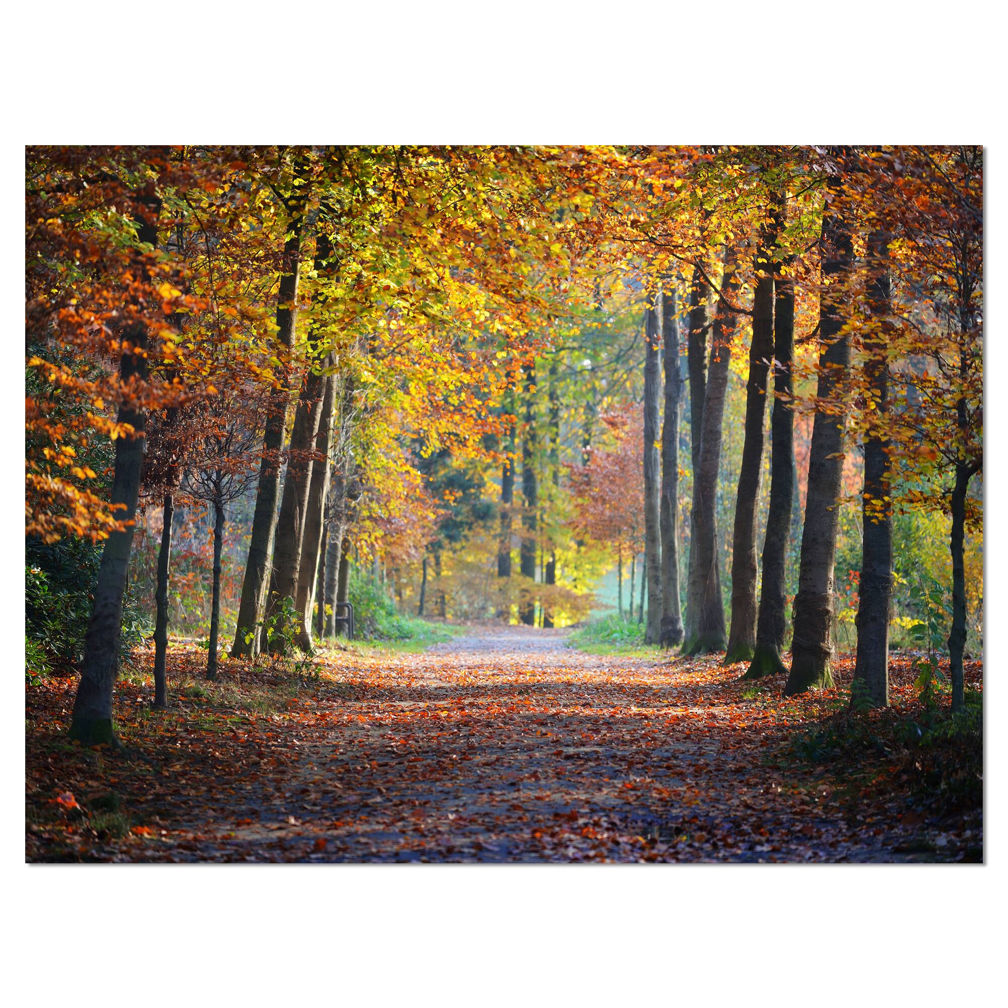 Designart - Wide Pathway in Yellow Fall Forest - Landscape Photography Canvas Print