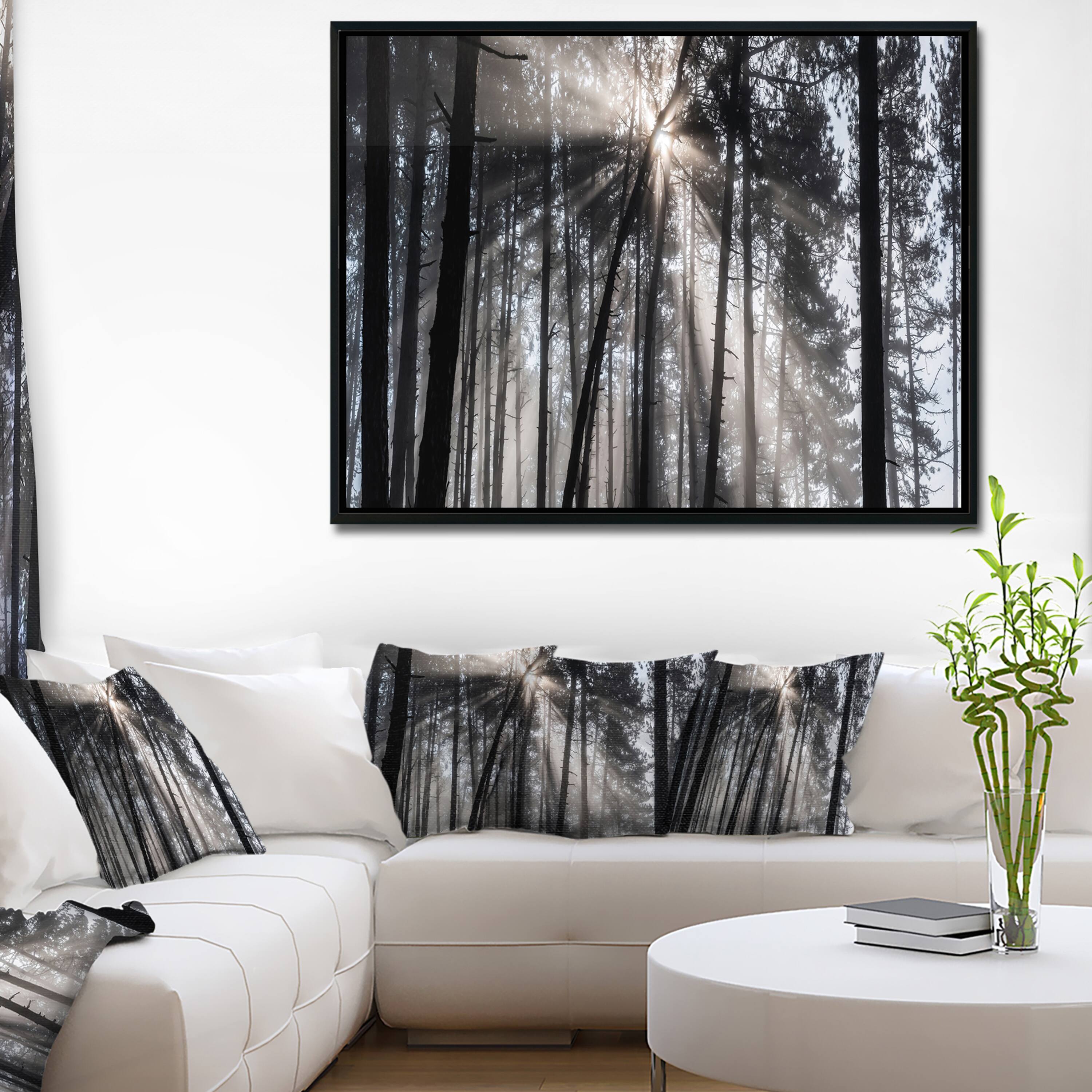 Designart - Sunbeams through Black White Forest - Forest Framed Canvas Wall Art Print