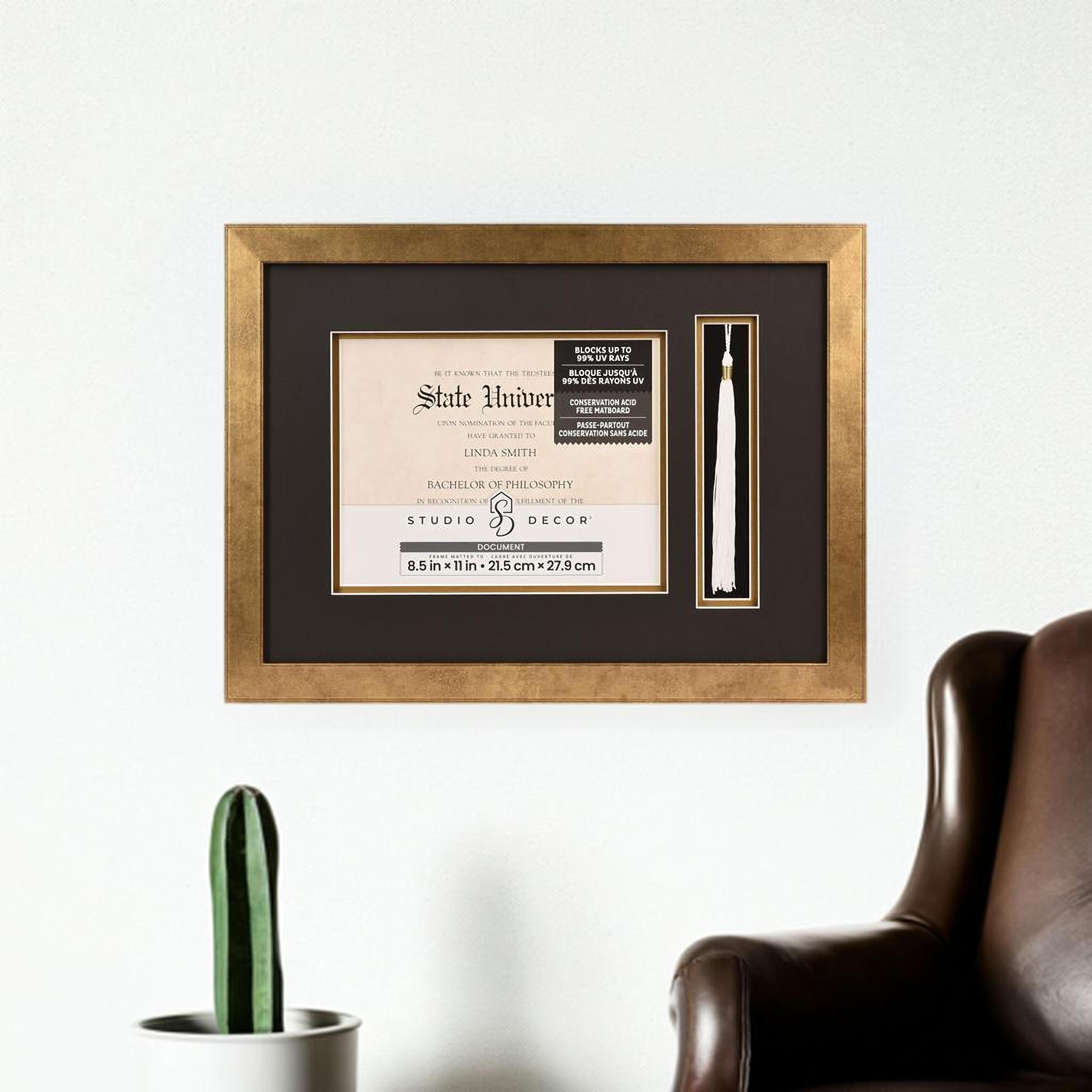 2 Opening Gold 8.5&#x22; x 11&#x22; Document &#x26; Tassel Frame with Double Mat by Studio D&#xE9;cor&#xAE;