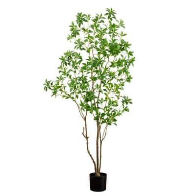 7ft. Potted Minimalist Japanese Pieris Tree with Real Touch Leaves ...