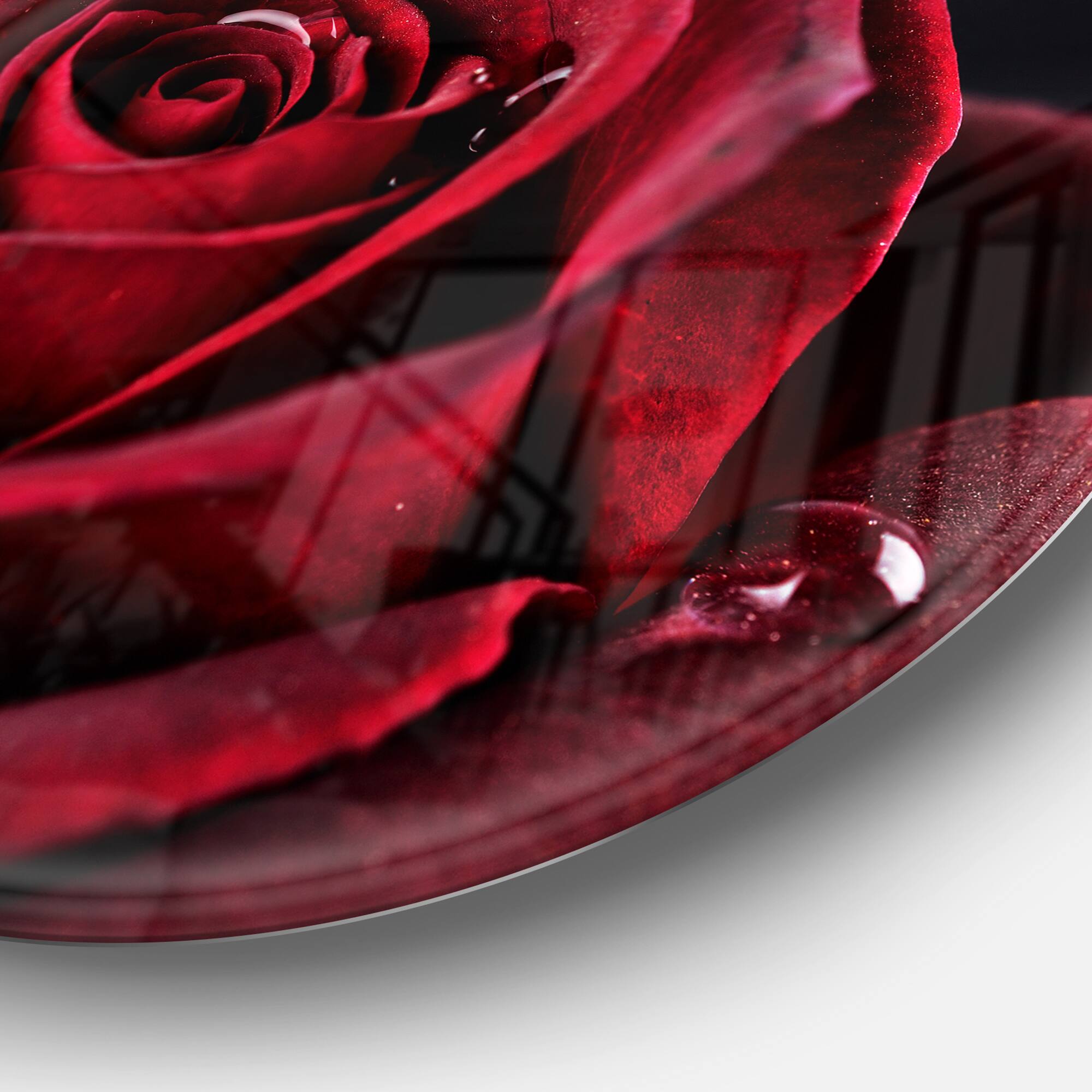 Designart - Red Rose with Raindrops on Black&#x27; Disc Flowers Large Metal Circle Wall Artwork