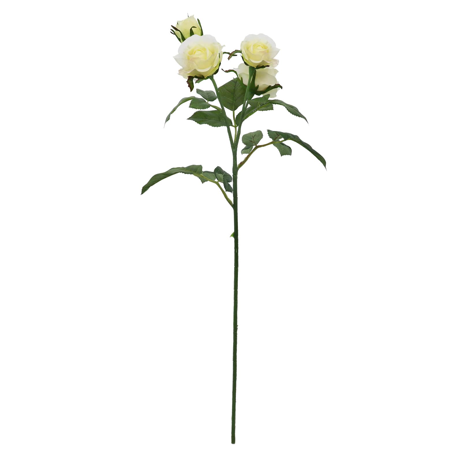 29&#x22; Rose Stem by Ashland&#xAE;