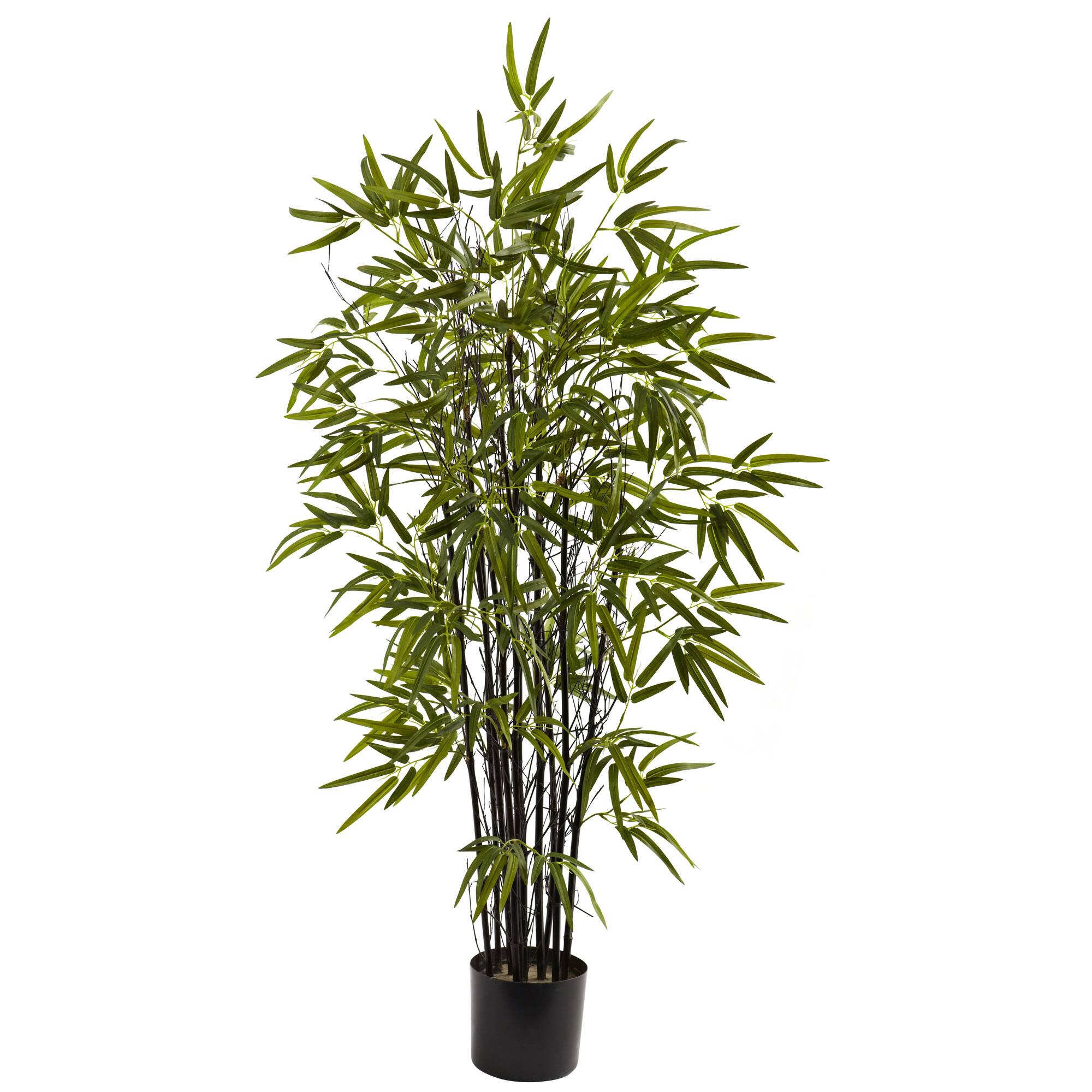 4ft. Potted Black Bamboo Tree