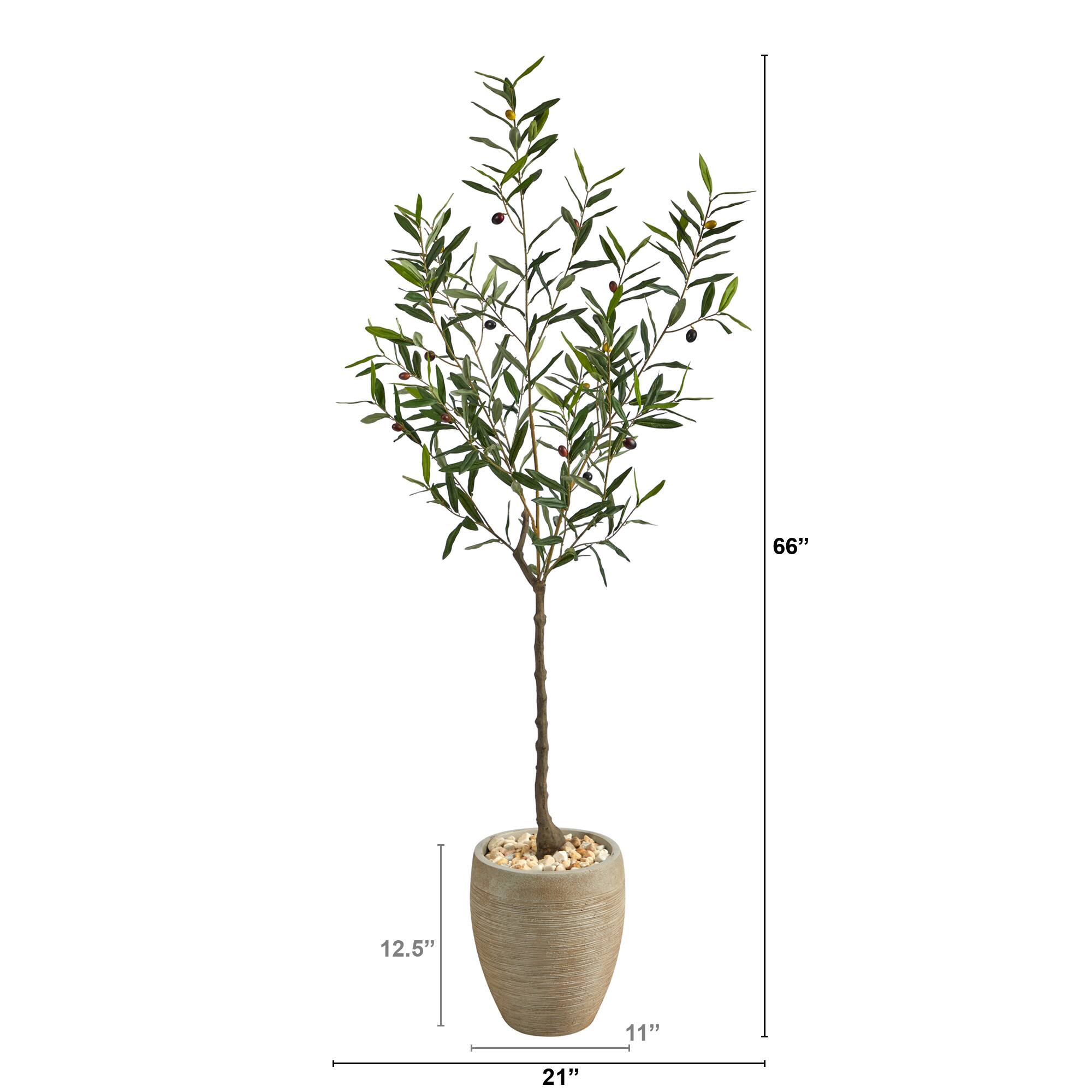 5.5ft. Olive Artificial Tree in Sand Colored Planter