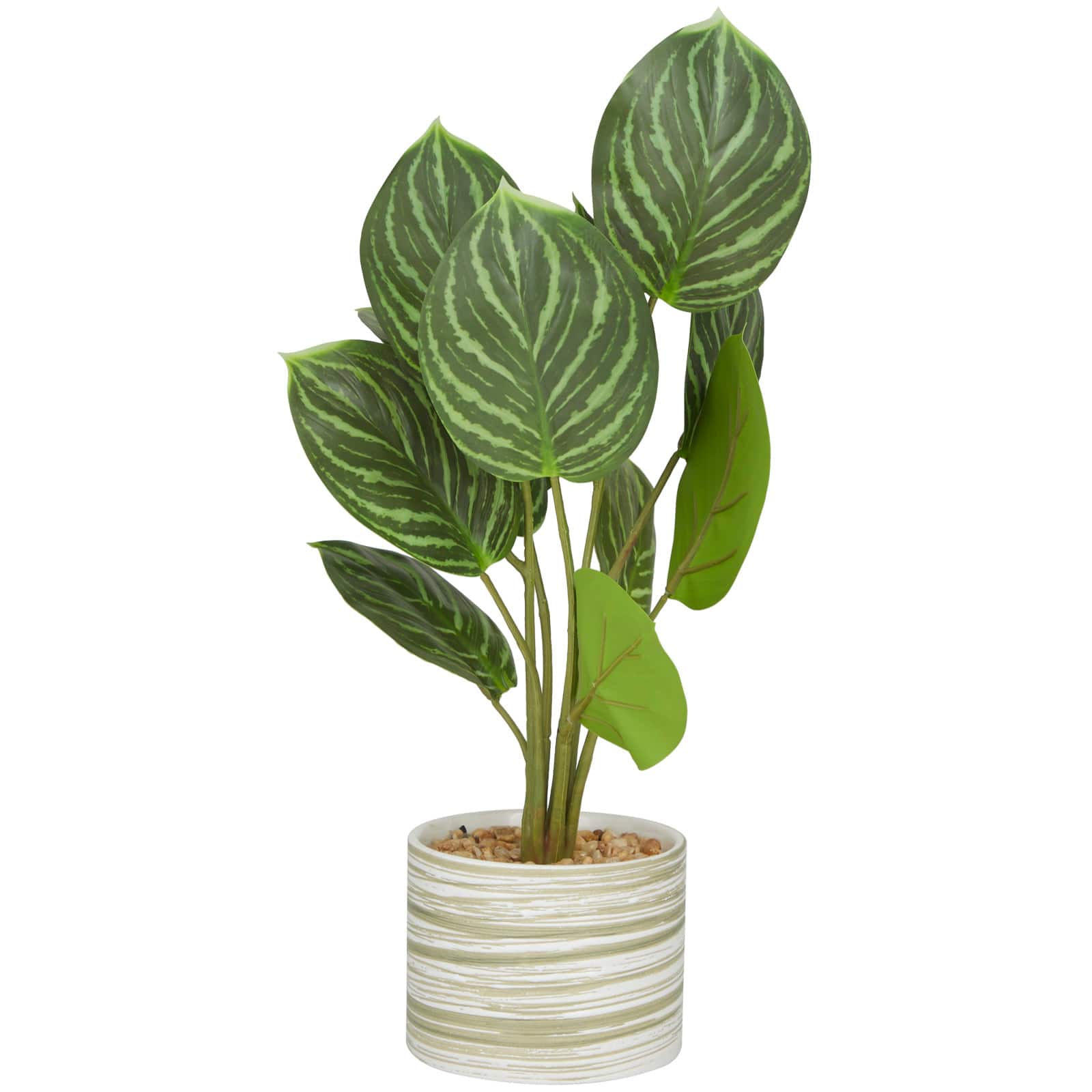 The Novogratz 16&#x22; Green Faux Foliage Calathea Artificial Plant in Porcelain Pot