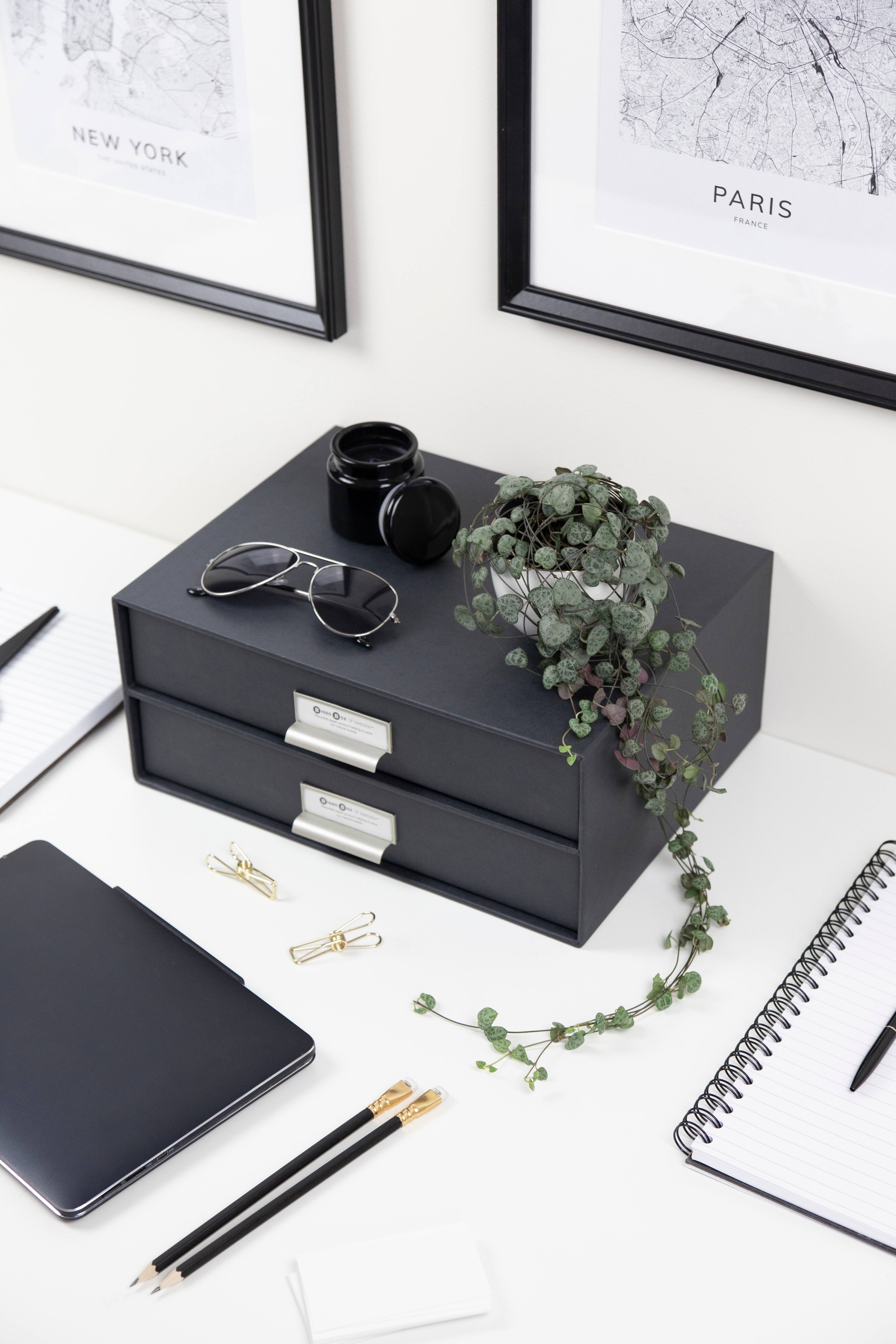 Bigso Birger 2-Drawer File Box