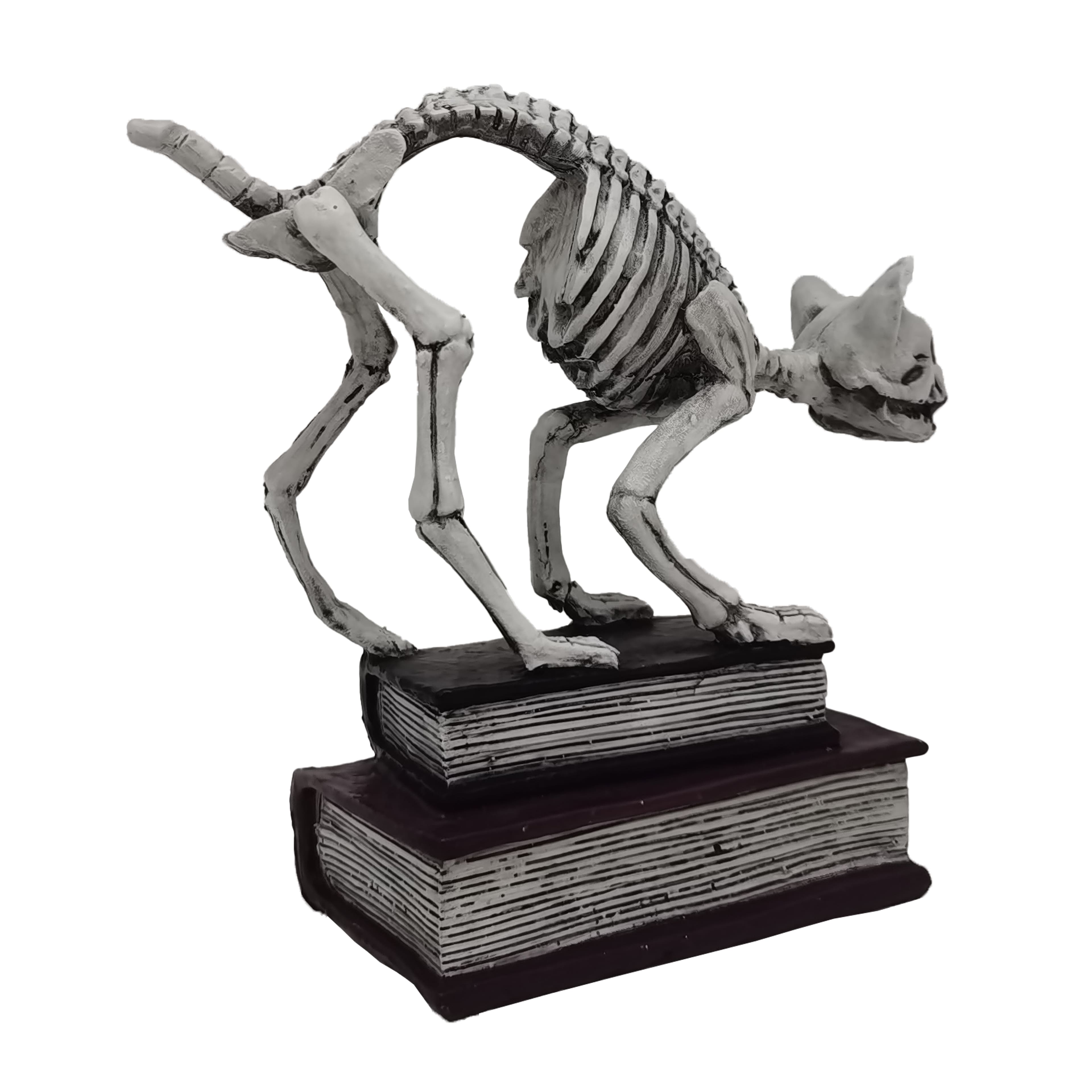 7&#x22; Skeleton Cat with Books Tabletop D&#xE9;cor by Ashland&#xAE;