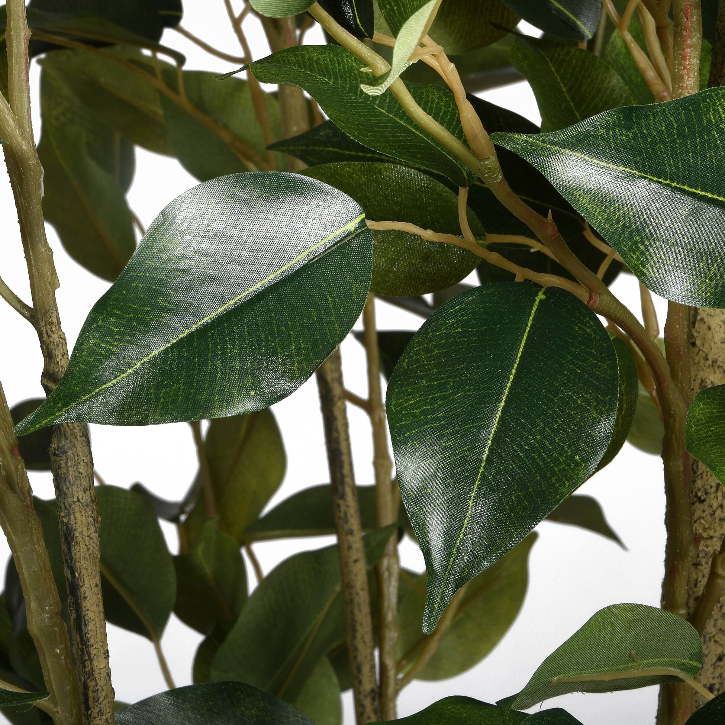 5ft. Potted Ficus Tree Trees & Floor Plants Michaels