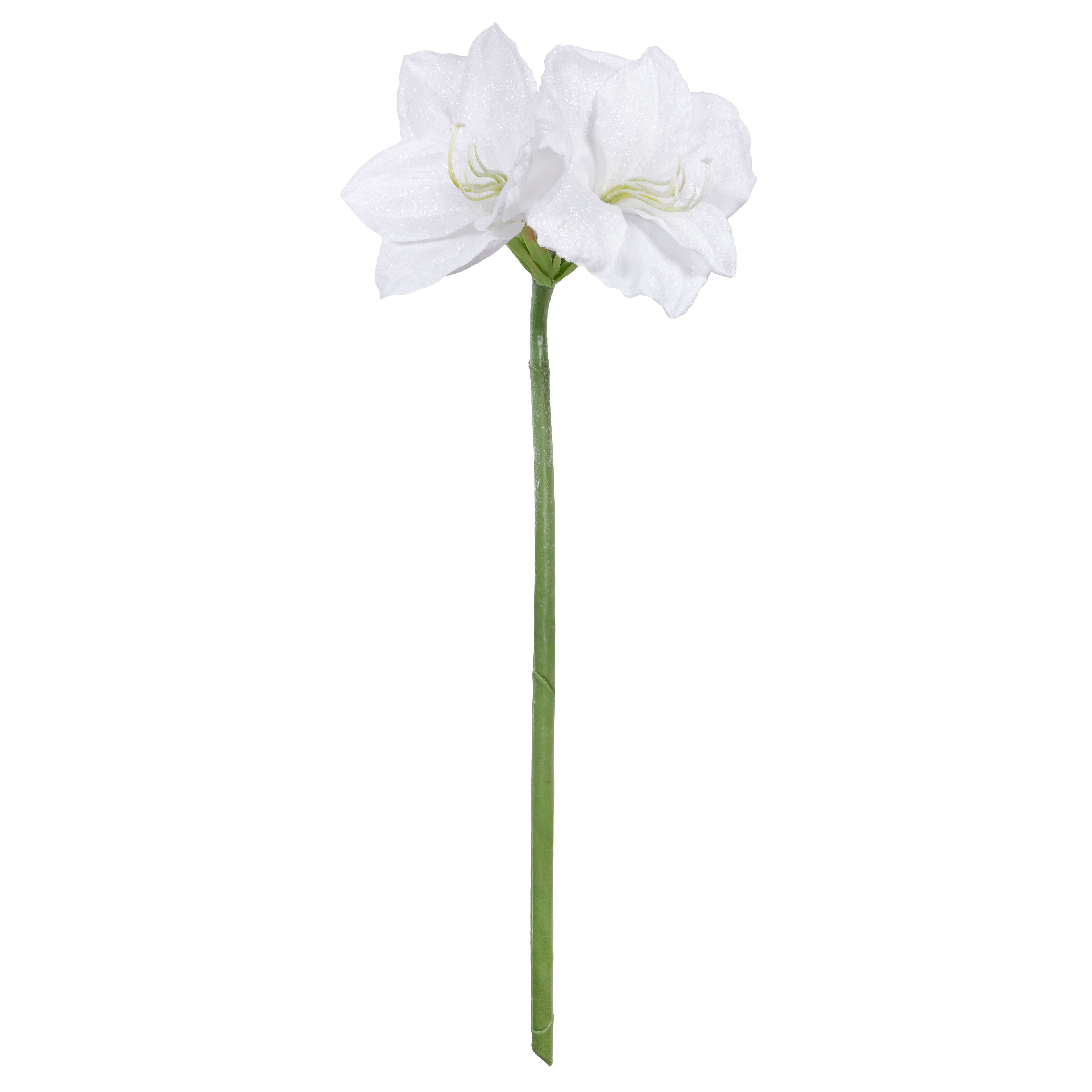 26&#x22; Snow White Amaryllis Stem by Ashland&#xAE;