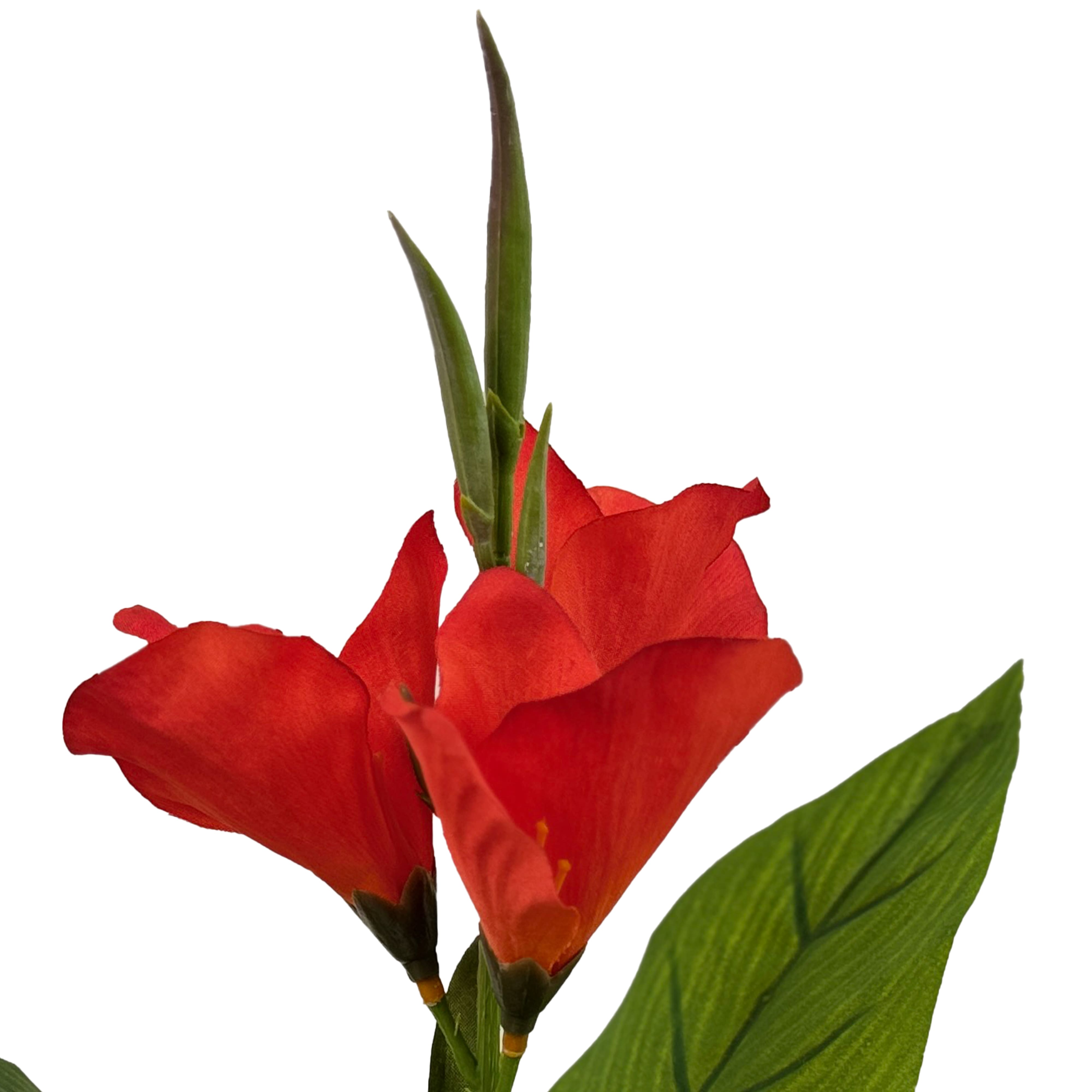 15.5&#x22; Potted Canna Lily Plant by Ashland&#xAE;