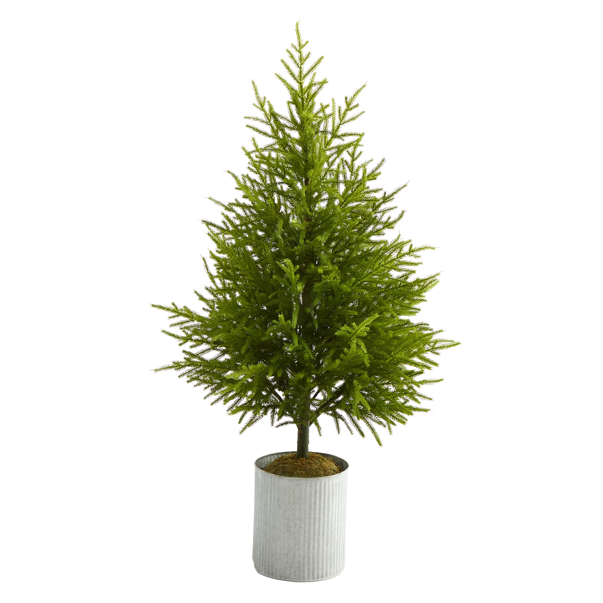 4ft. Unlit Norfolk Island Pine Artificial Christmas Tree