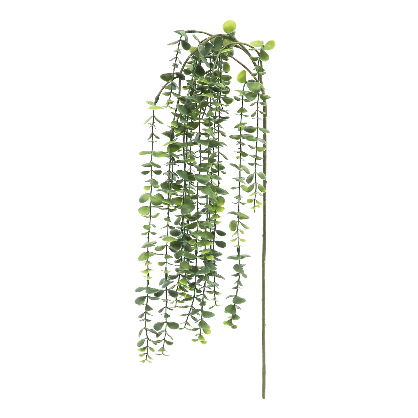 25&#x22; Green Hanging Eucalyptus Stem by Ashland&#xAE;