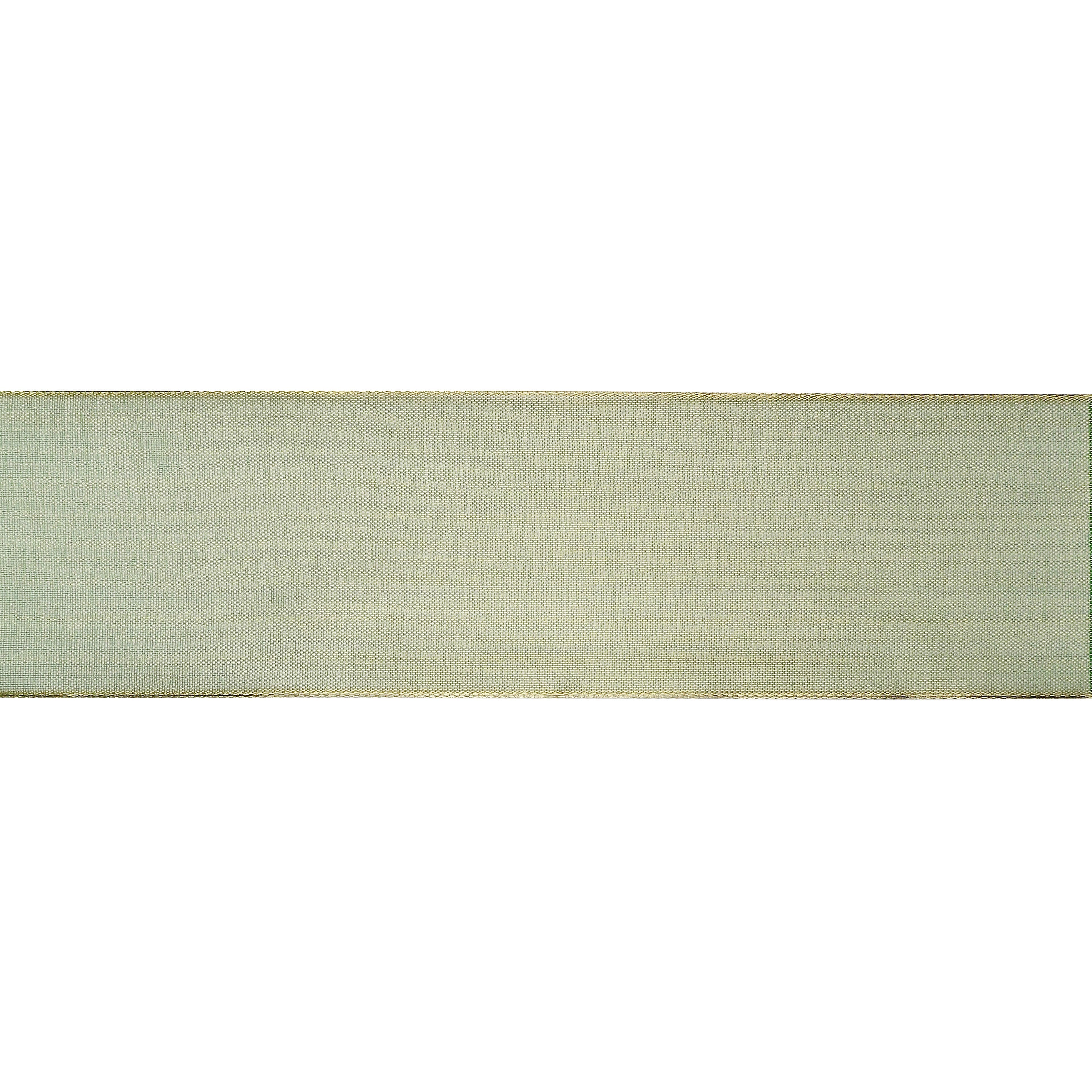 2.5" x 10yd. Sheer Metallic Wired Ribbon by Celebrate It® Specialty