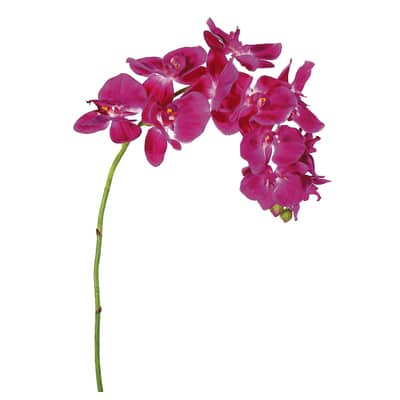 Pink Phalaenopsis Orchid Spray | Michaels