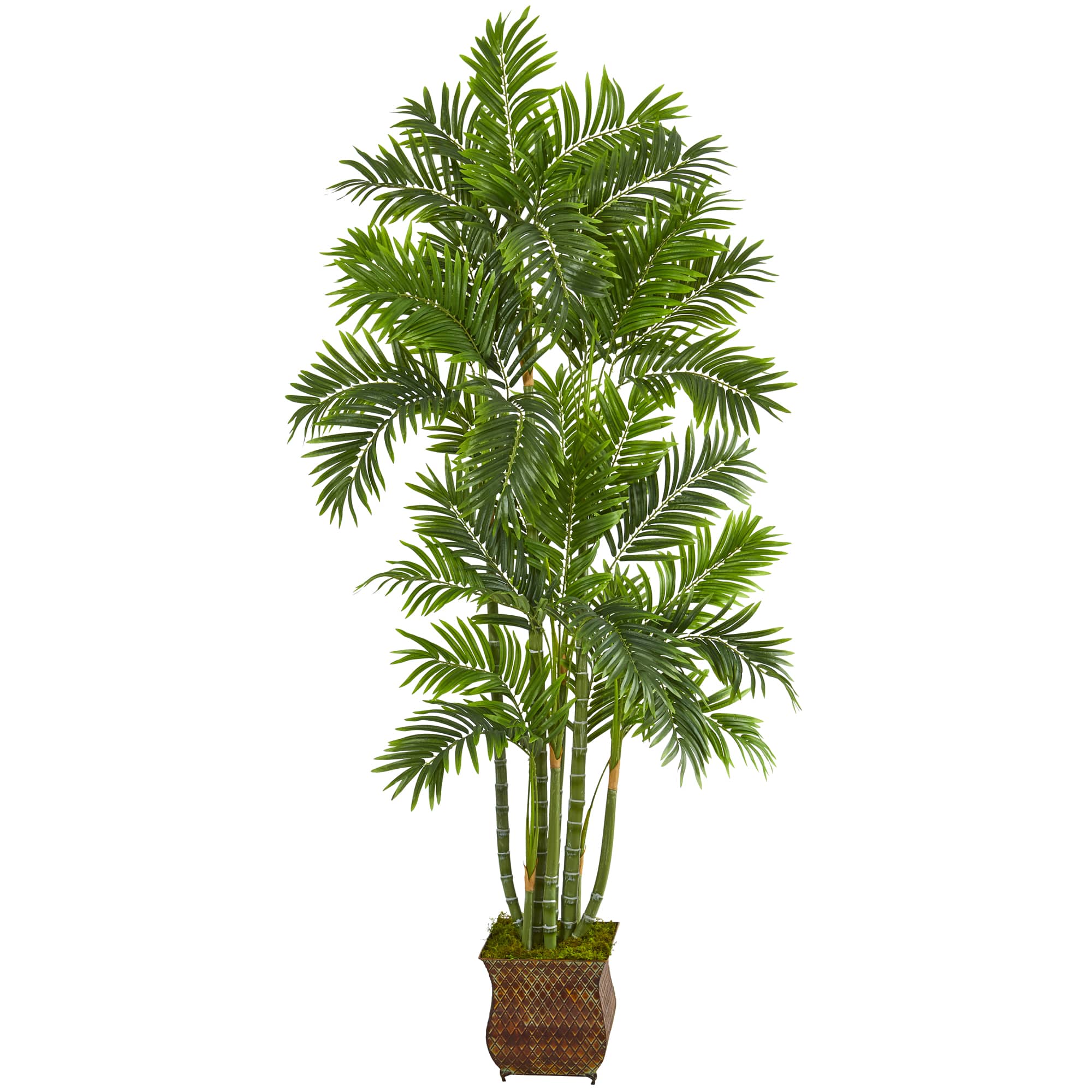 5.5ft. Areca Palm Tree in Metal Planter