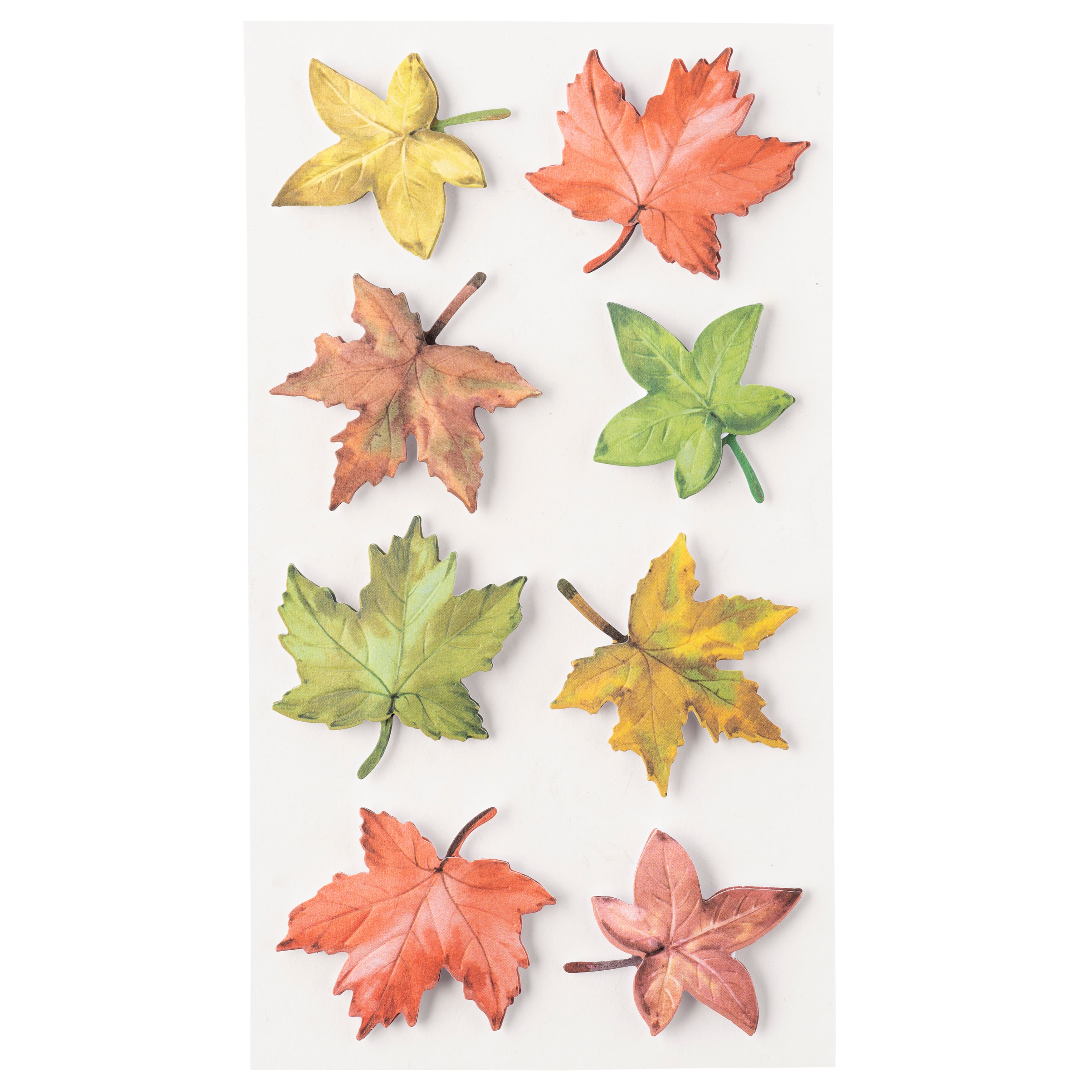 12 Packs: 8 ct. (96 total) Maple Leaves Stickers by Recollections™