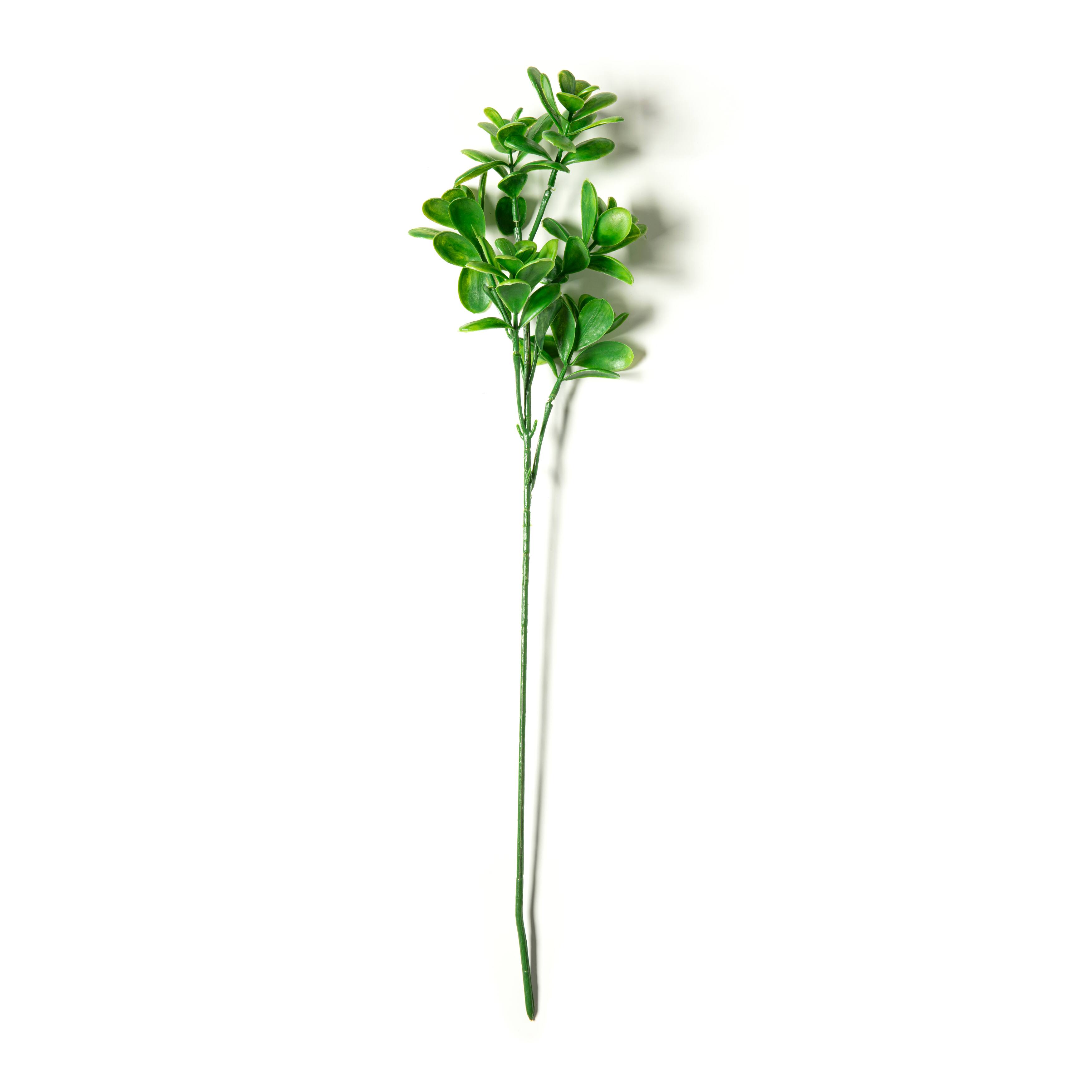 Green Crassula Spray by Ashland