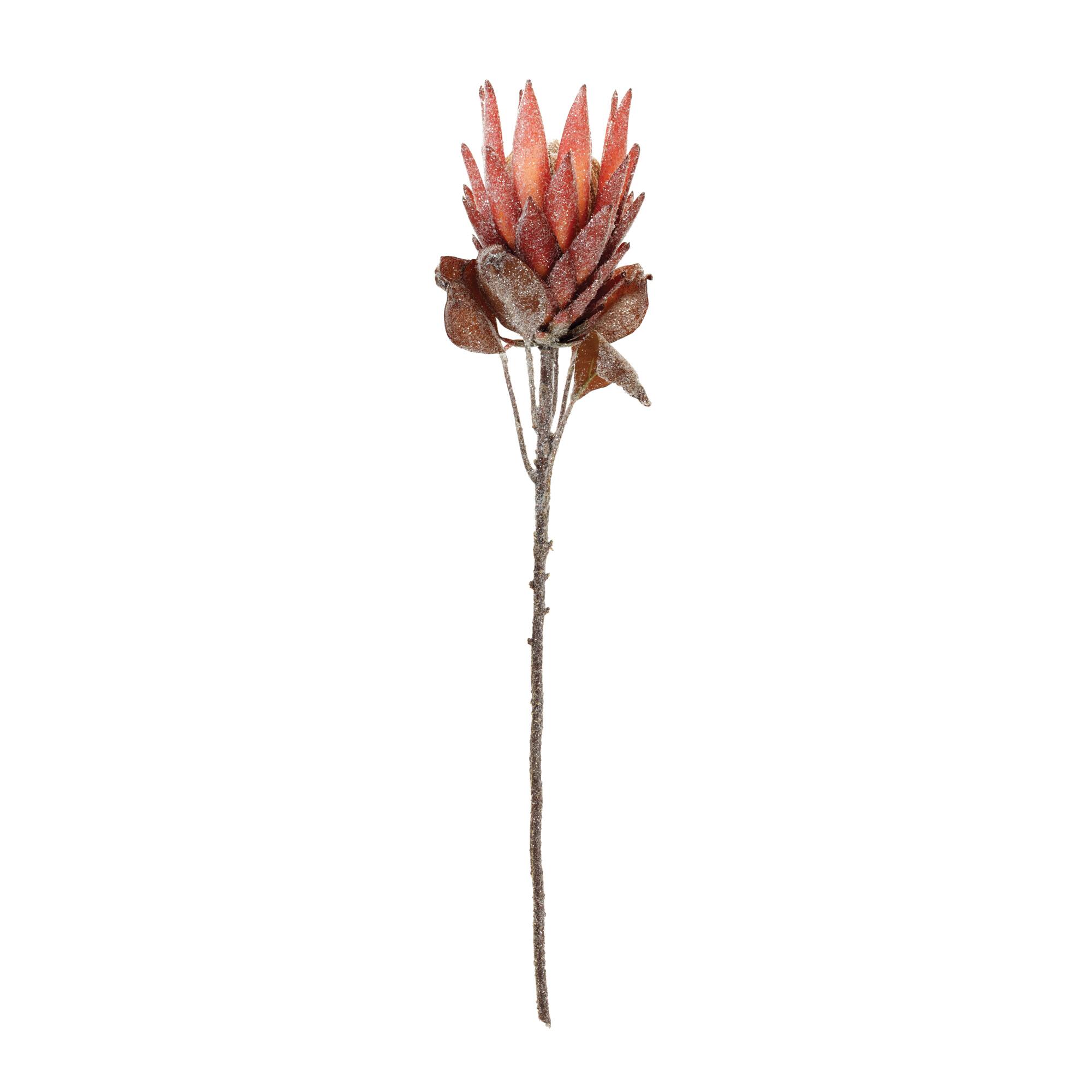 29.25&#x22; Red Protea Flower Stems, 2ct.