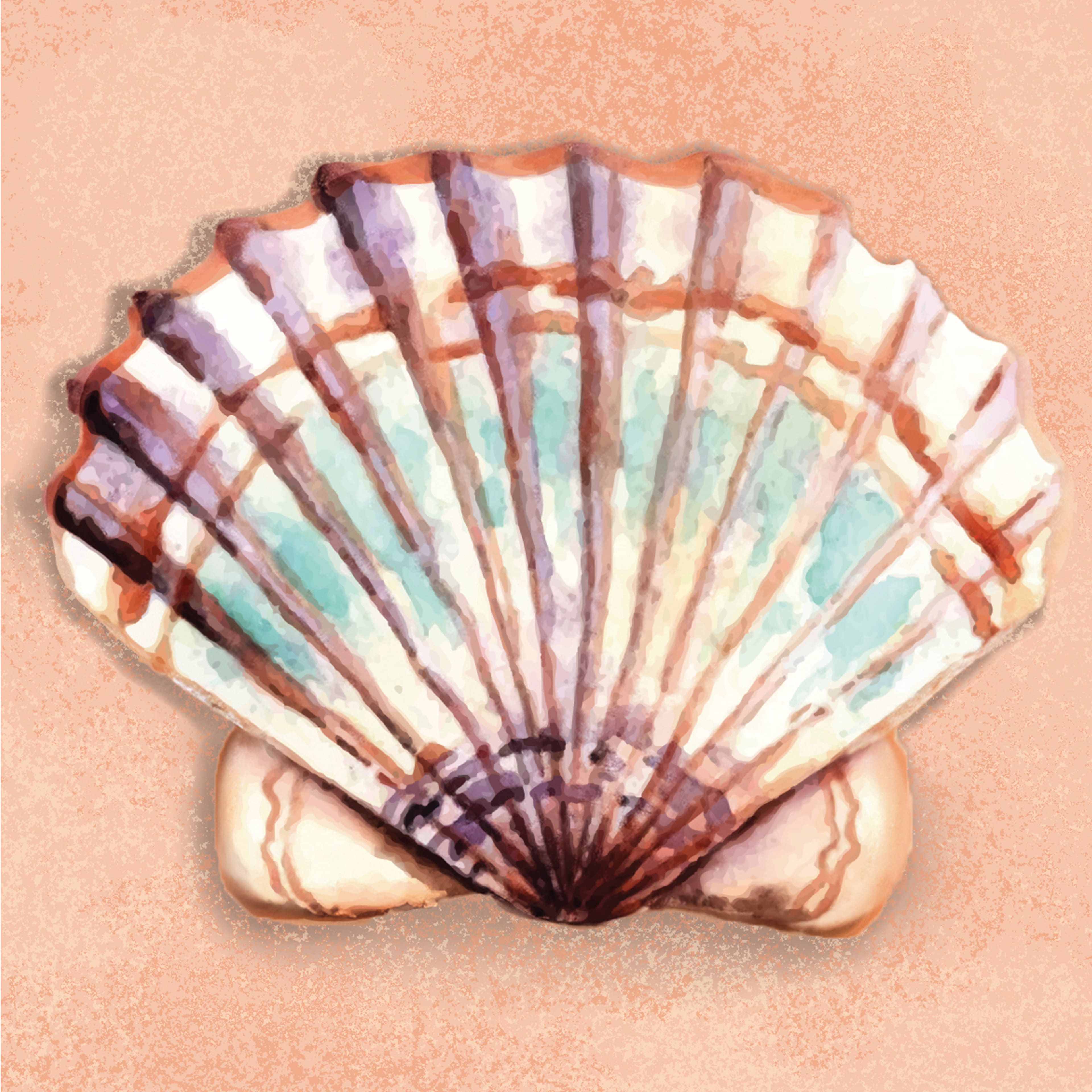 4&#x22; x 4&#x22; Seashell Canvas Painting Kit by Craft Smart&#xAE;