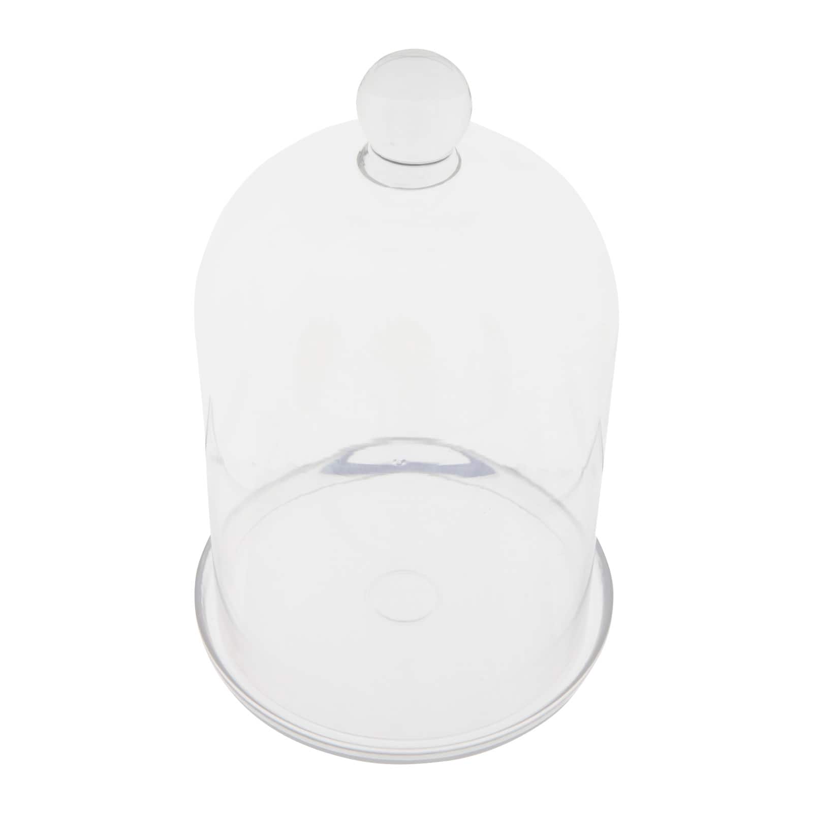 Hello Honey® Glass Cloche with Clear Glass Plate Set